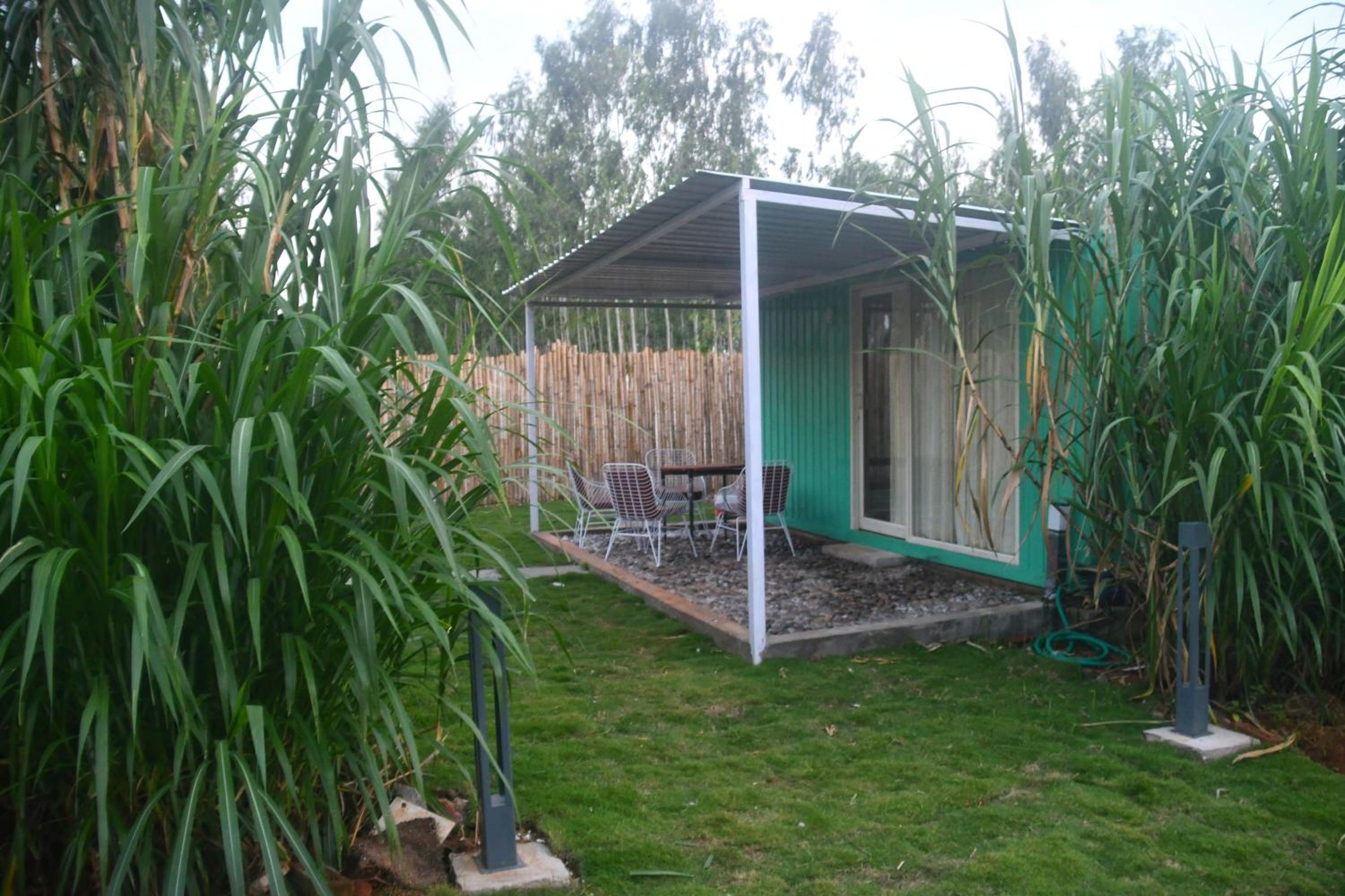 One-Bedroom House photo 2