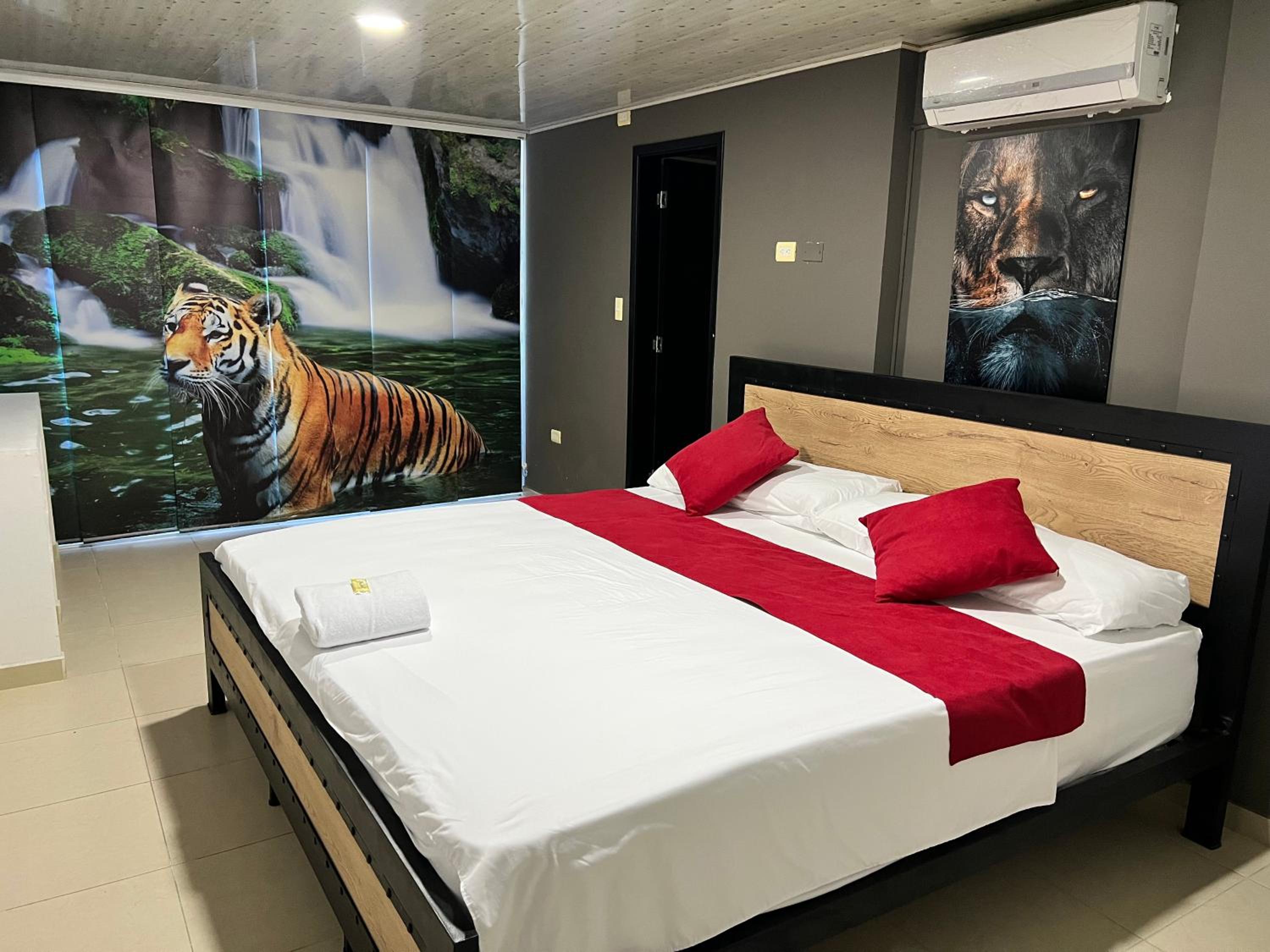 Suite with City View photo 2