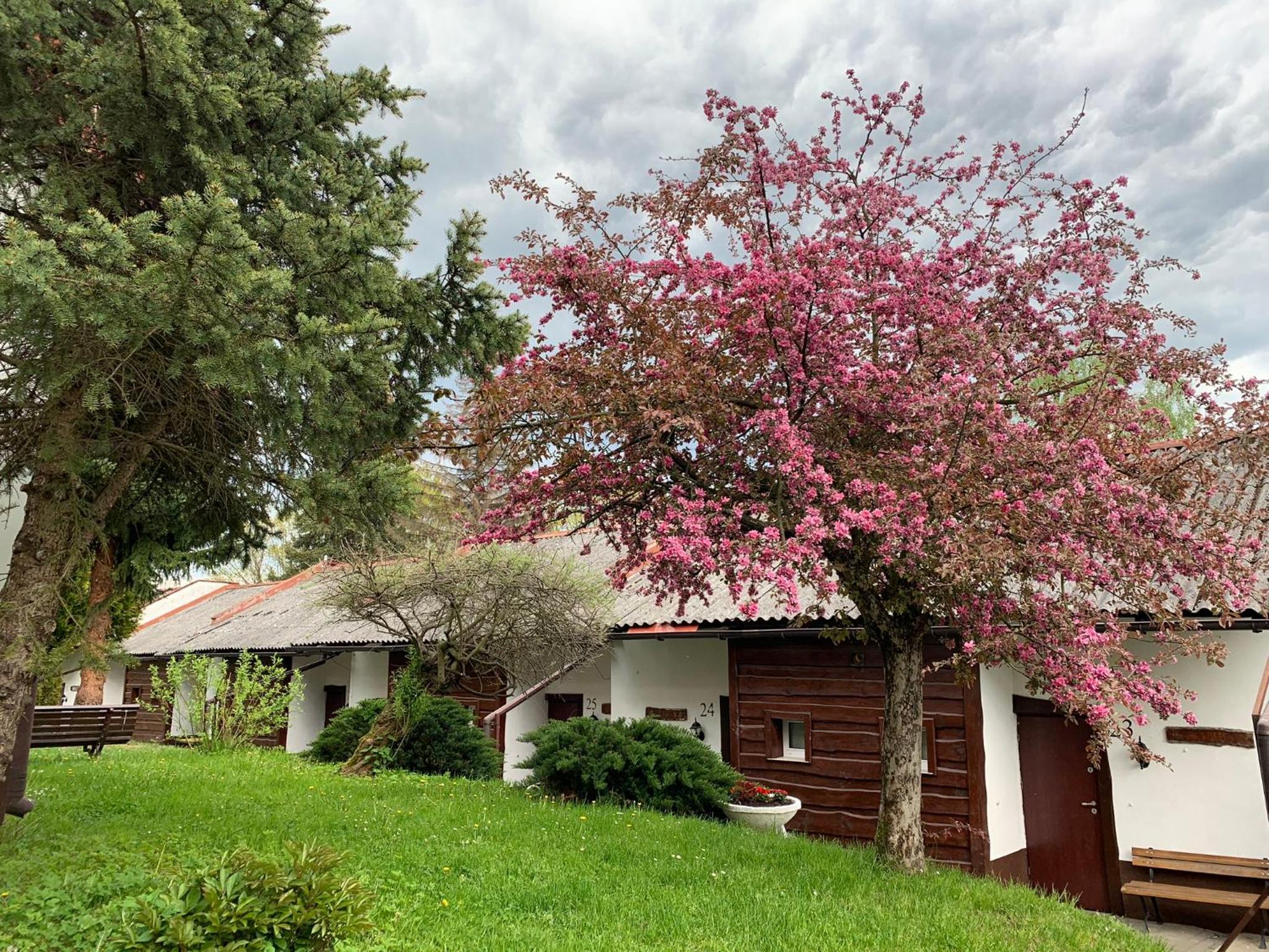 Cottage (5 Adults) photo 2