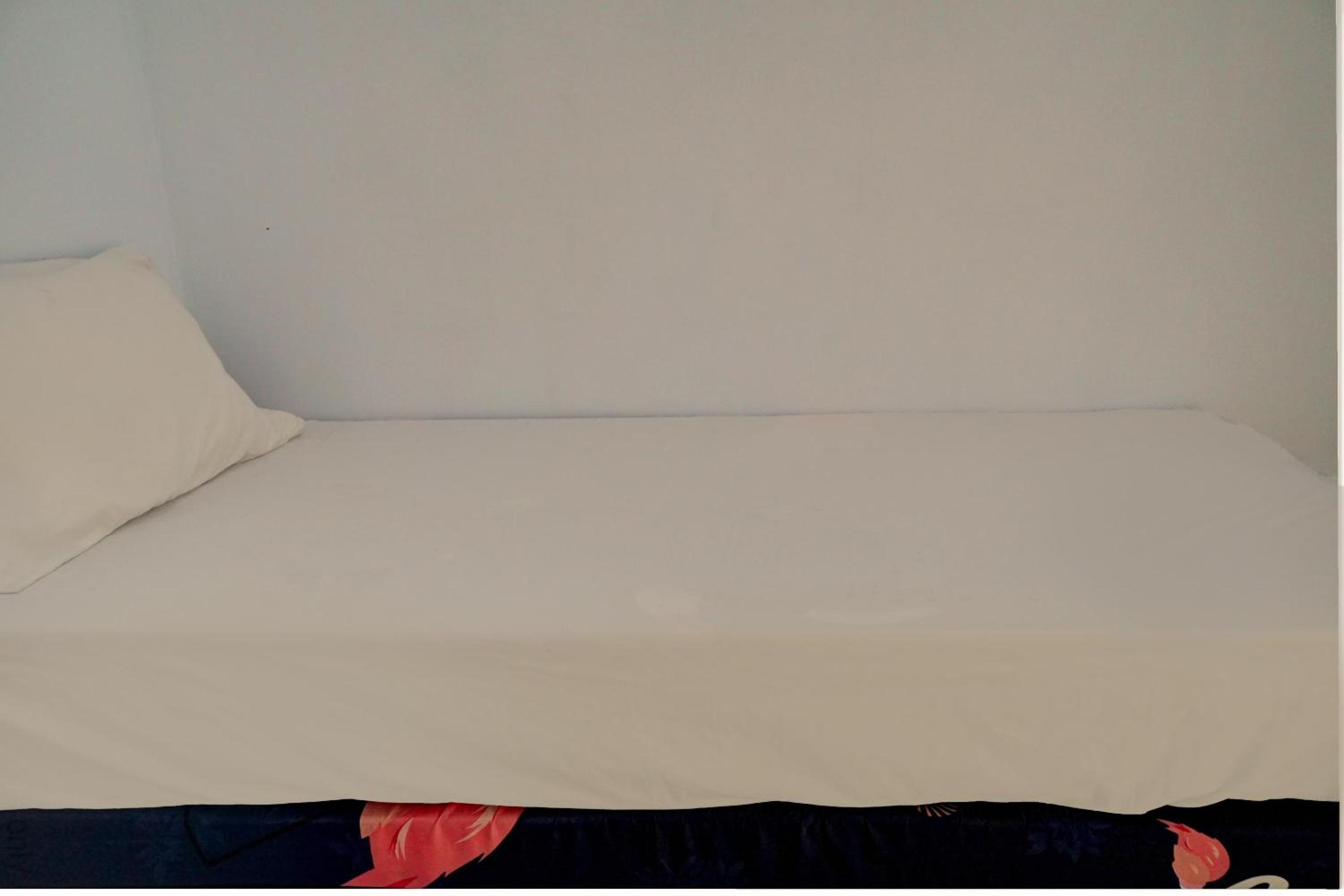 Large Single Room photo 2