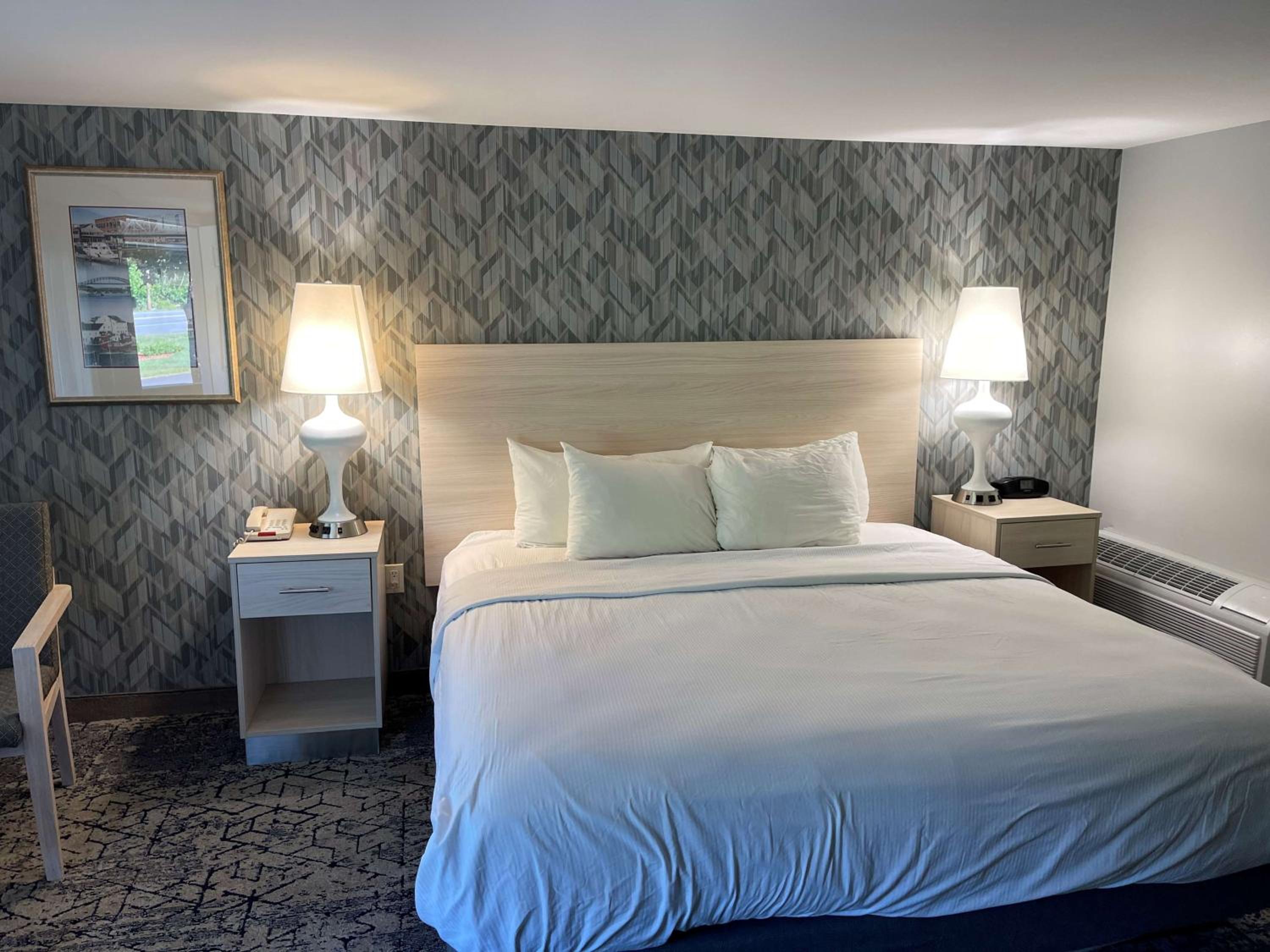 King Room (Not Pet-Friendly) - Photo 4