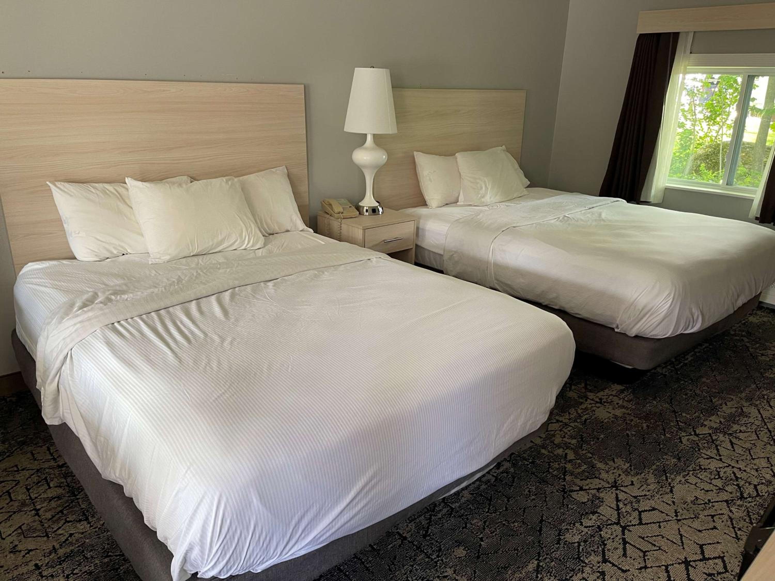 Suite with Three Queen beds - Photo 2