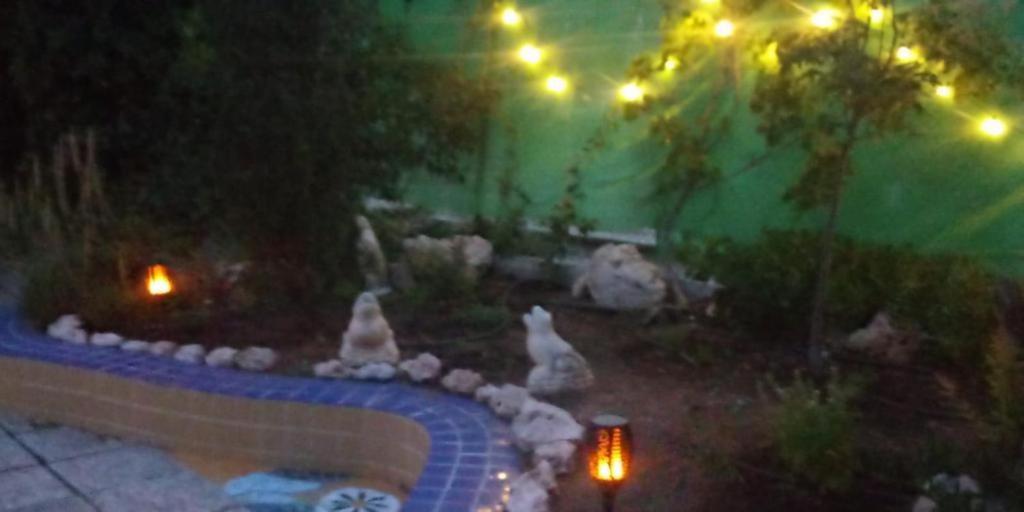 Holiday Home photo 3