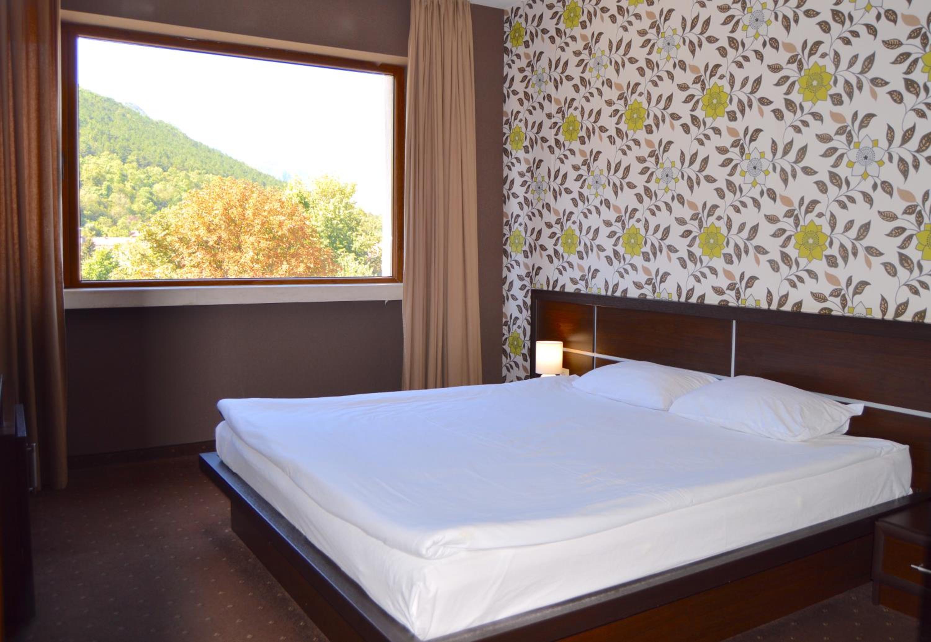 Junior Suite with Mountain View photo 3
