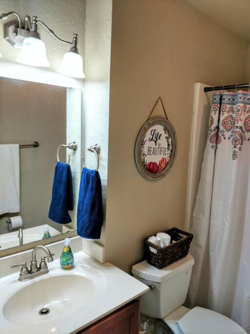One-Bedroom House photo 3