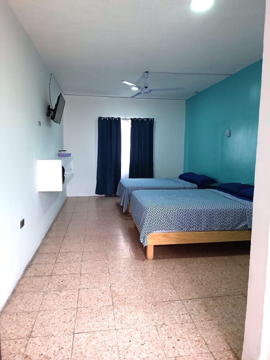 Twin Room photo 2