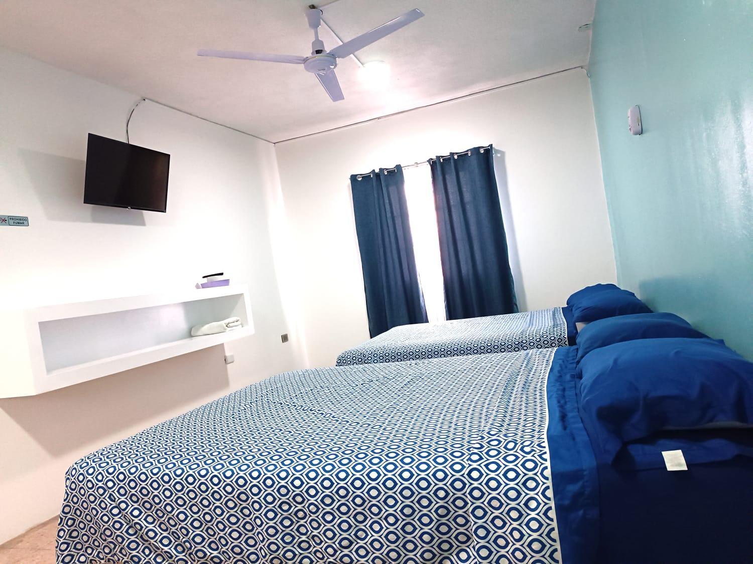 Twin Room photo 1