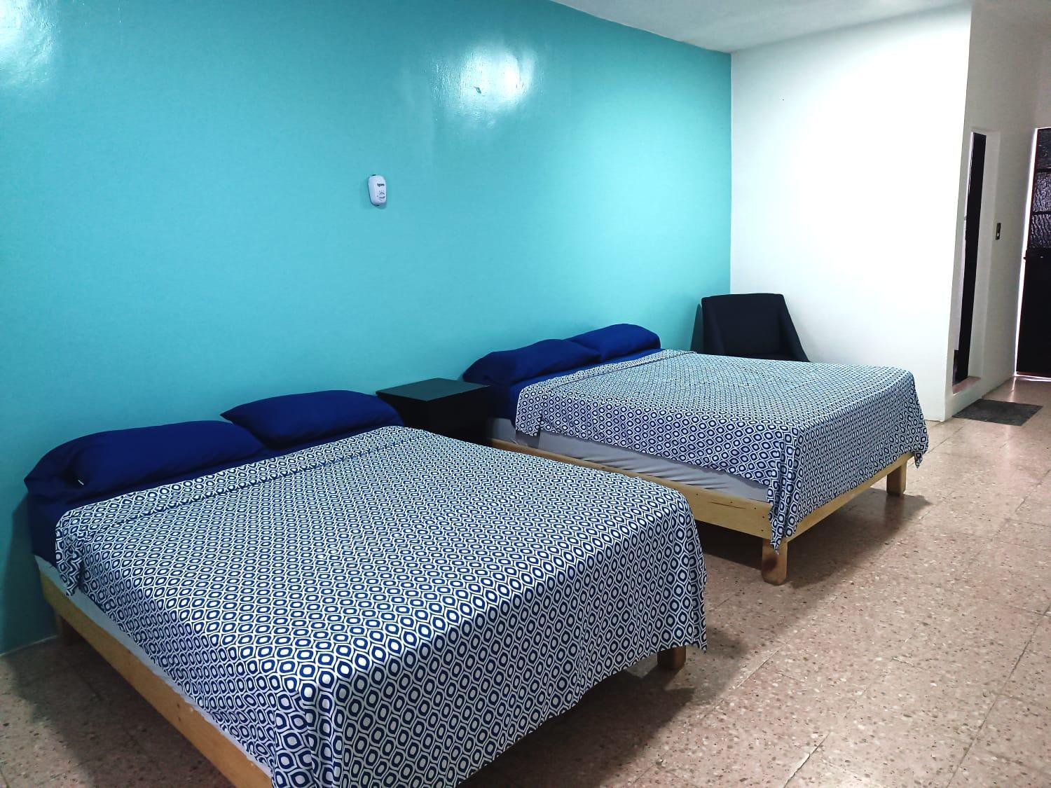 Twin Room photo 3