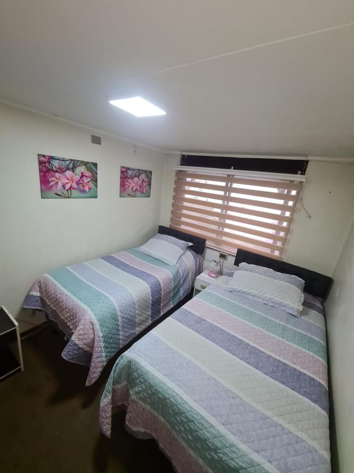 Twin Room photo 3