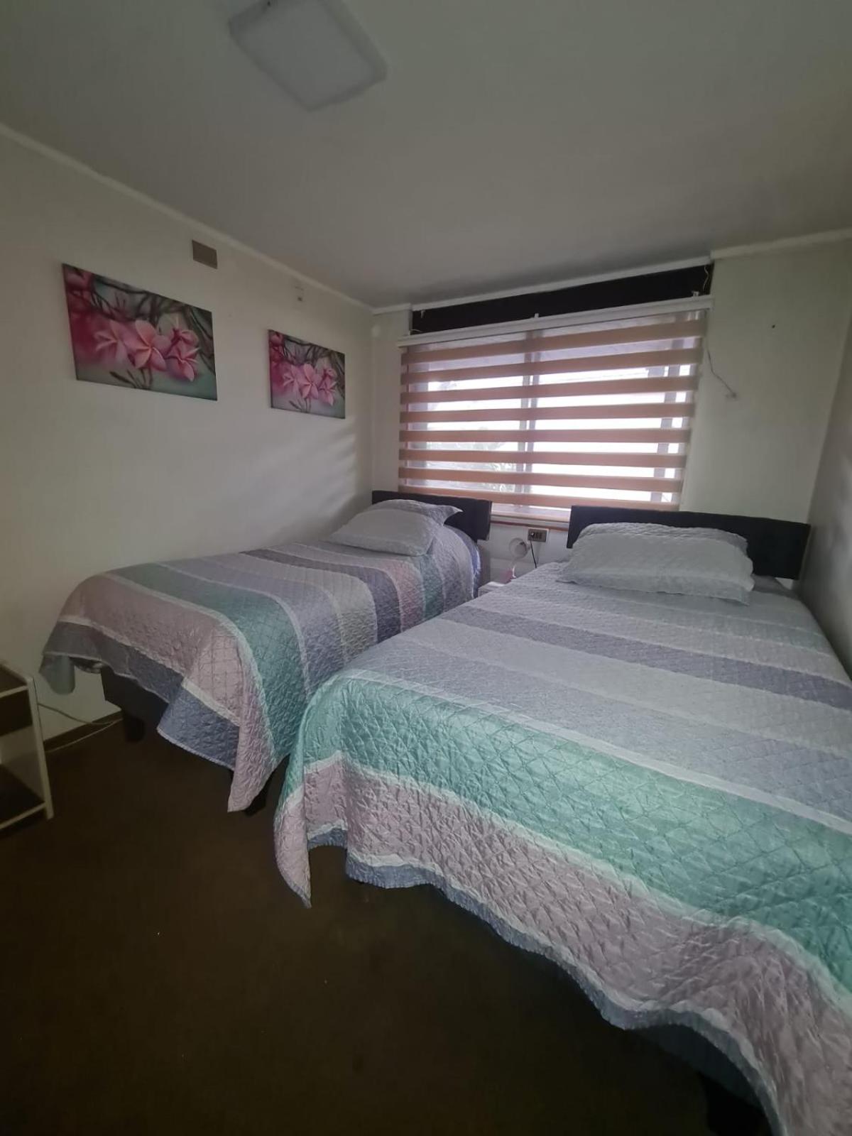 Twin Room photo 1