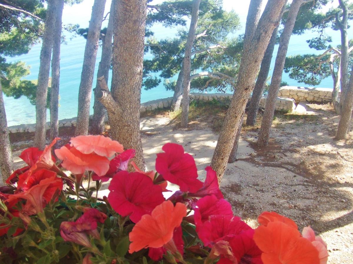 Studio Apartment with Sea View