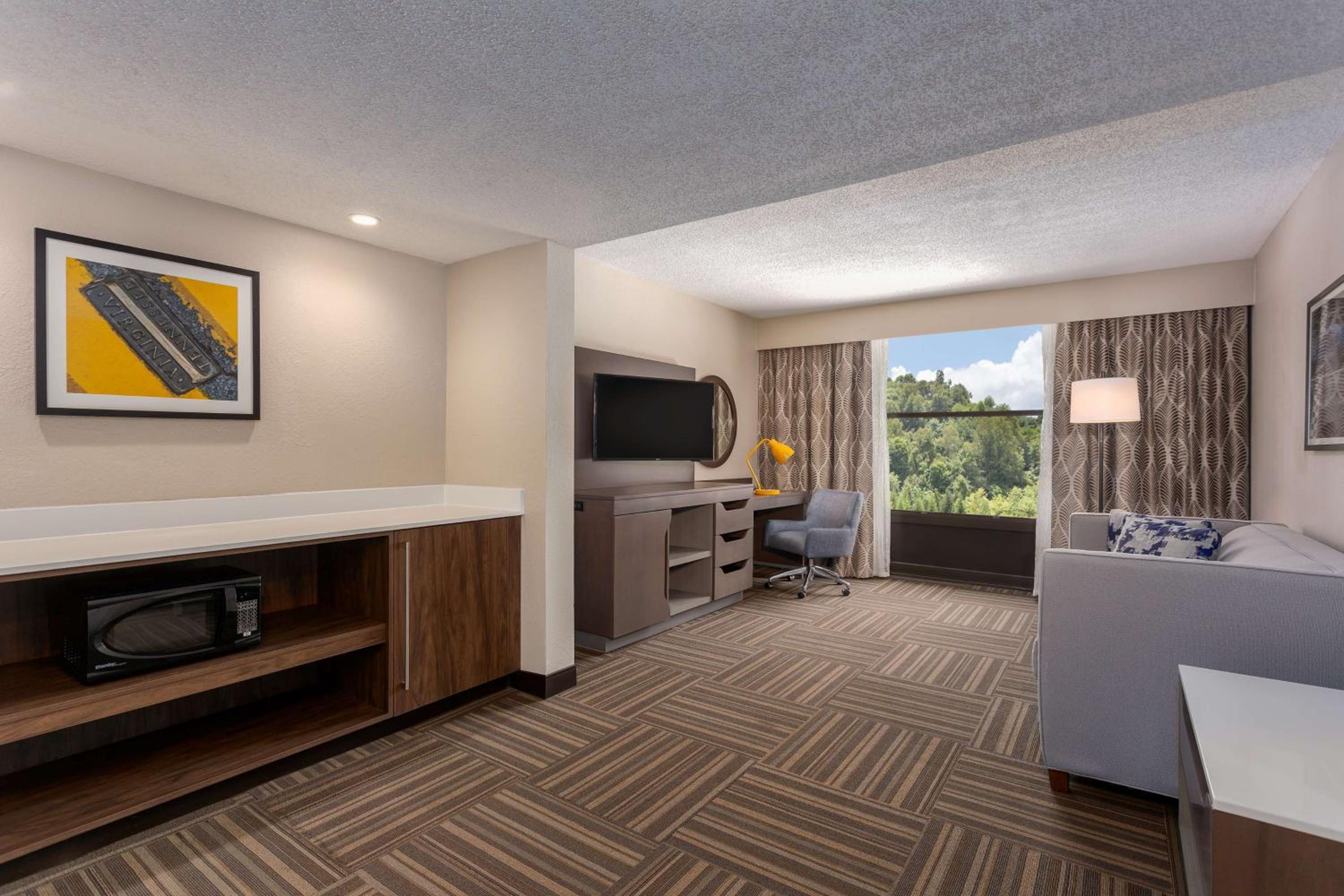 One-Bedroom King Suite - Non-Smoking photo 1