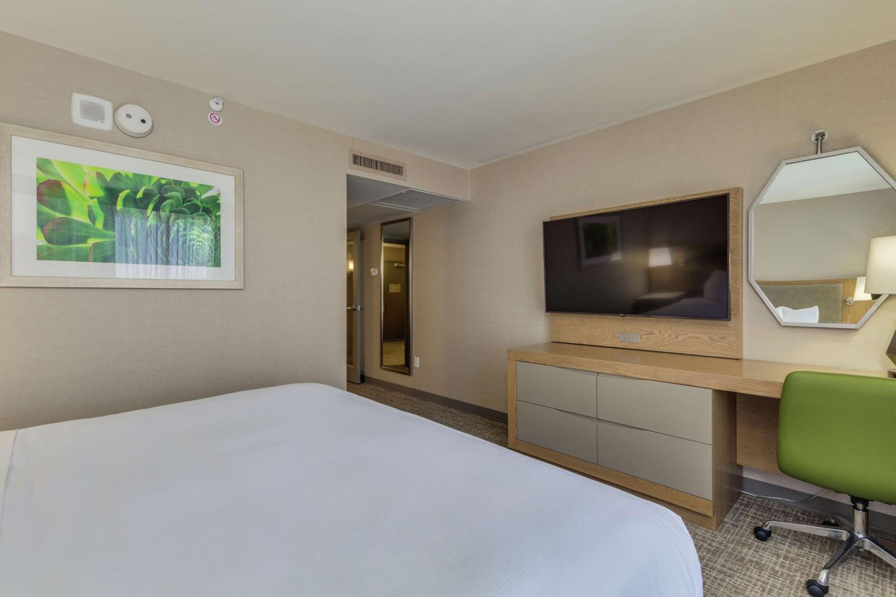One-Bedroom King Suite with Sofa Bed