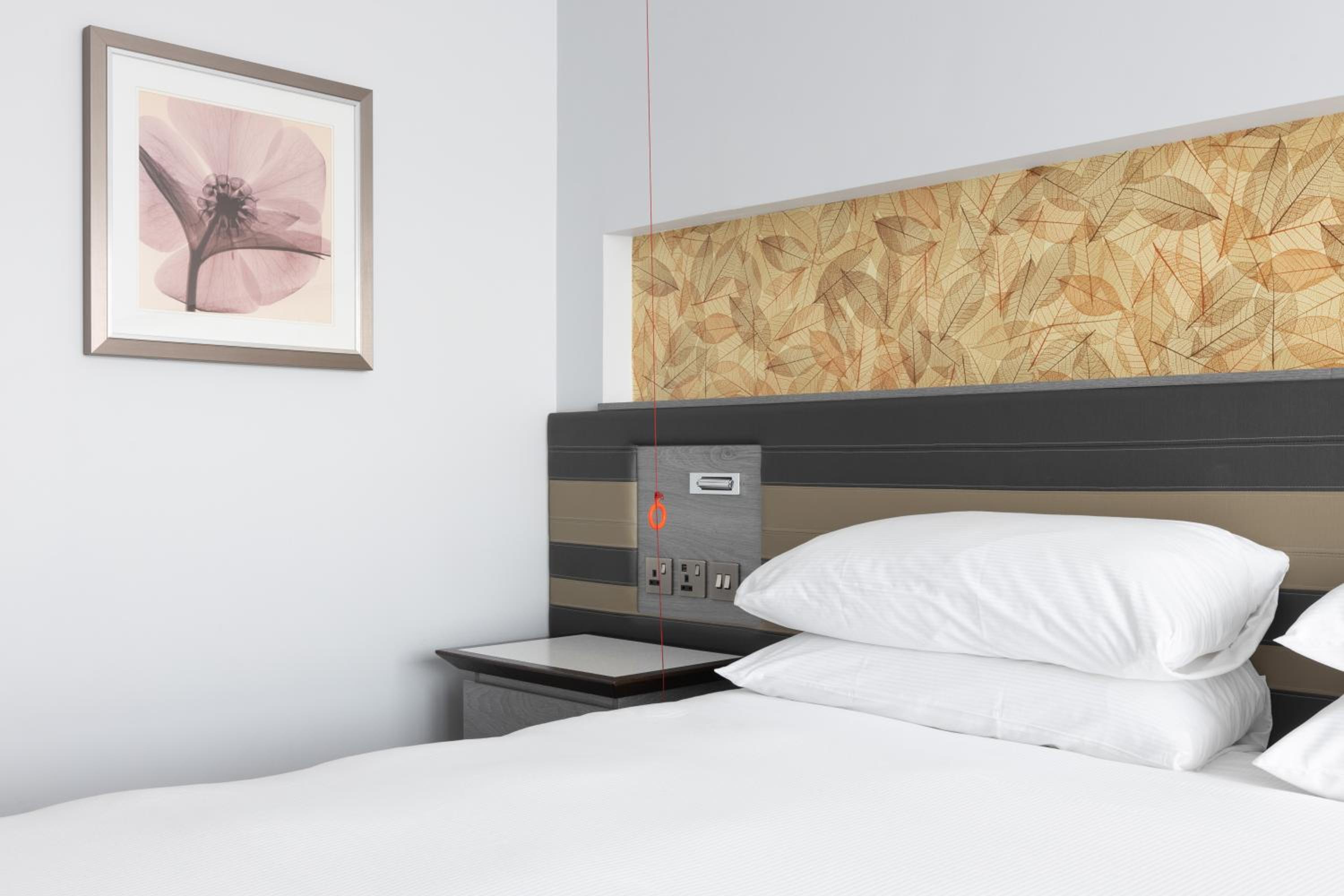 Twin Room - Mobility Access - Photo 5