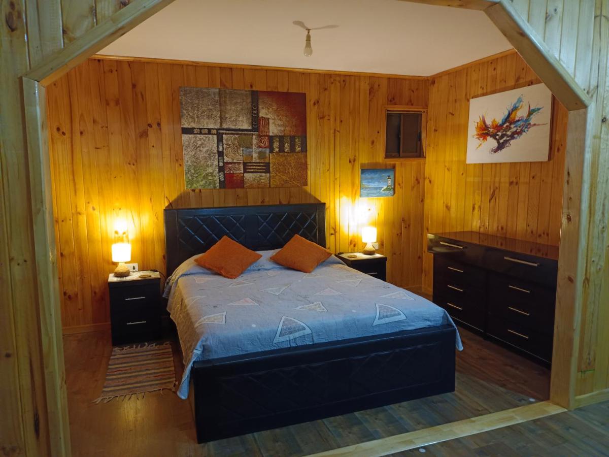 Standard Double Suite