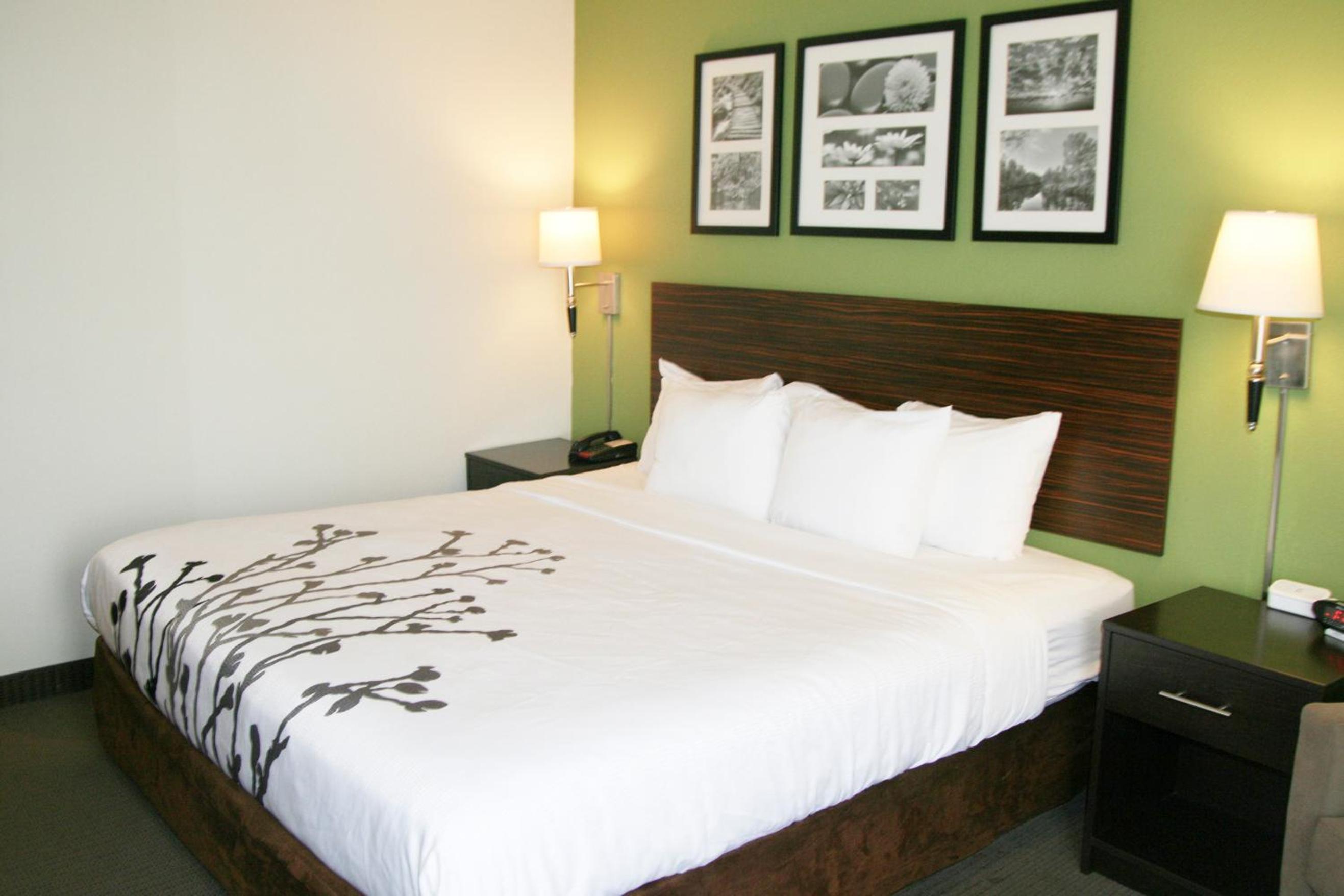 King Suite - Accessible/Non-Smoking