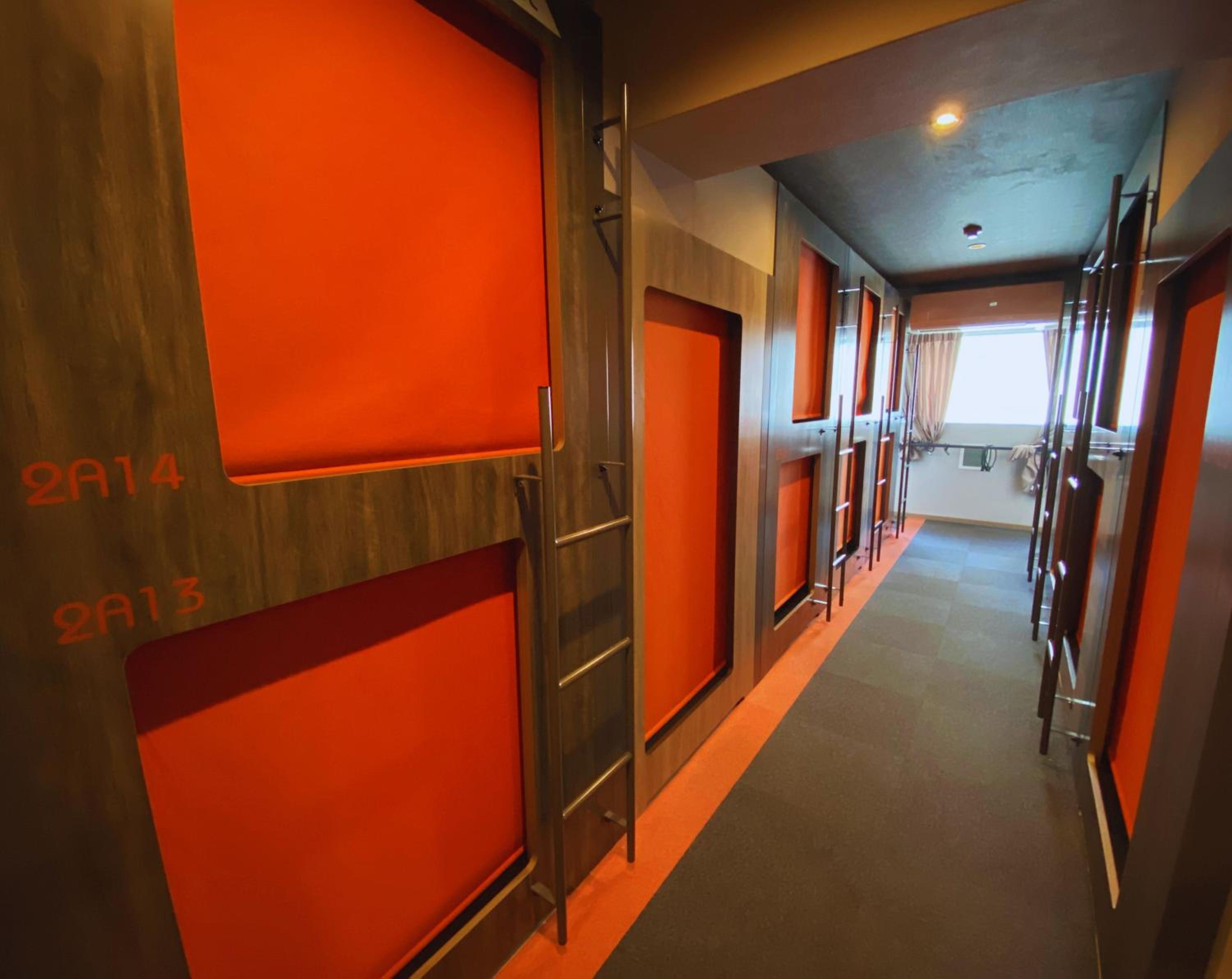 Bunk Bed in Female Dormitory Room