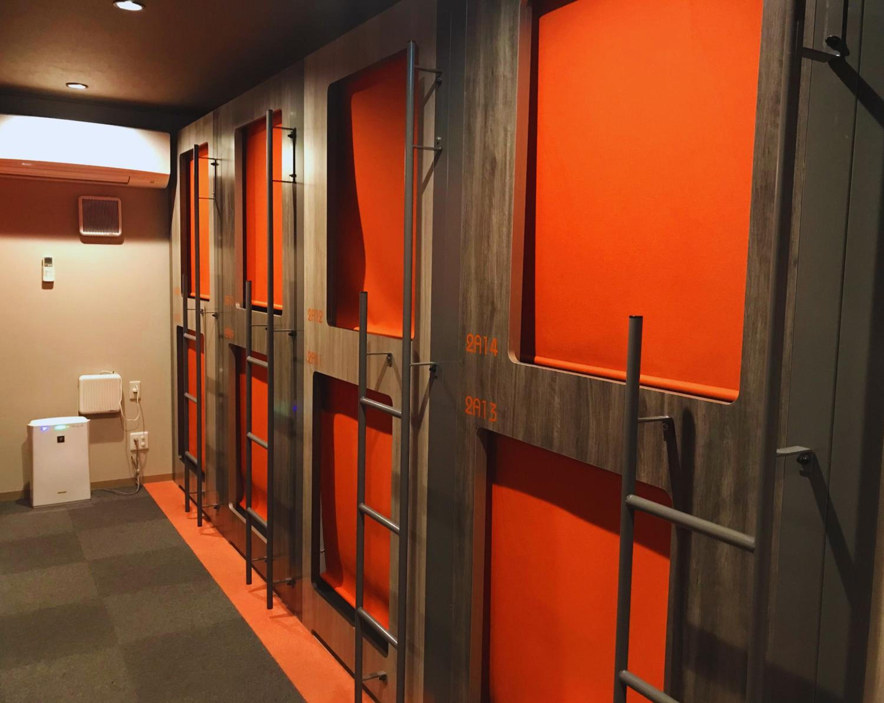 Bunk Bed in Female Dormitory Room