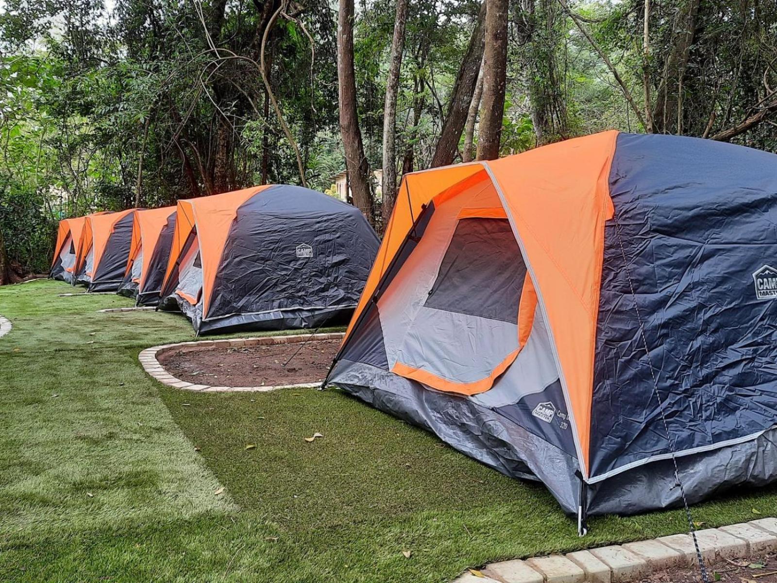 Standard Tent - Photo 2