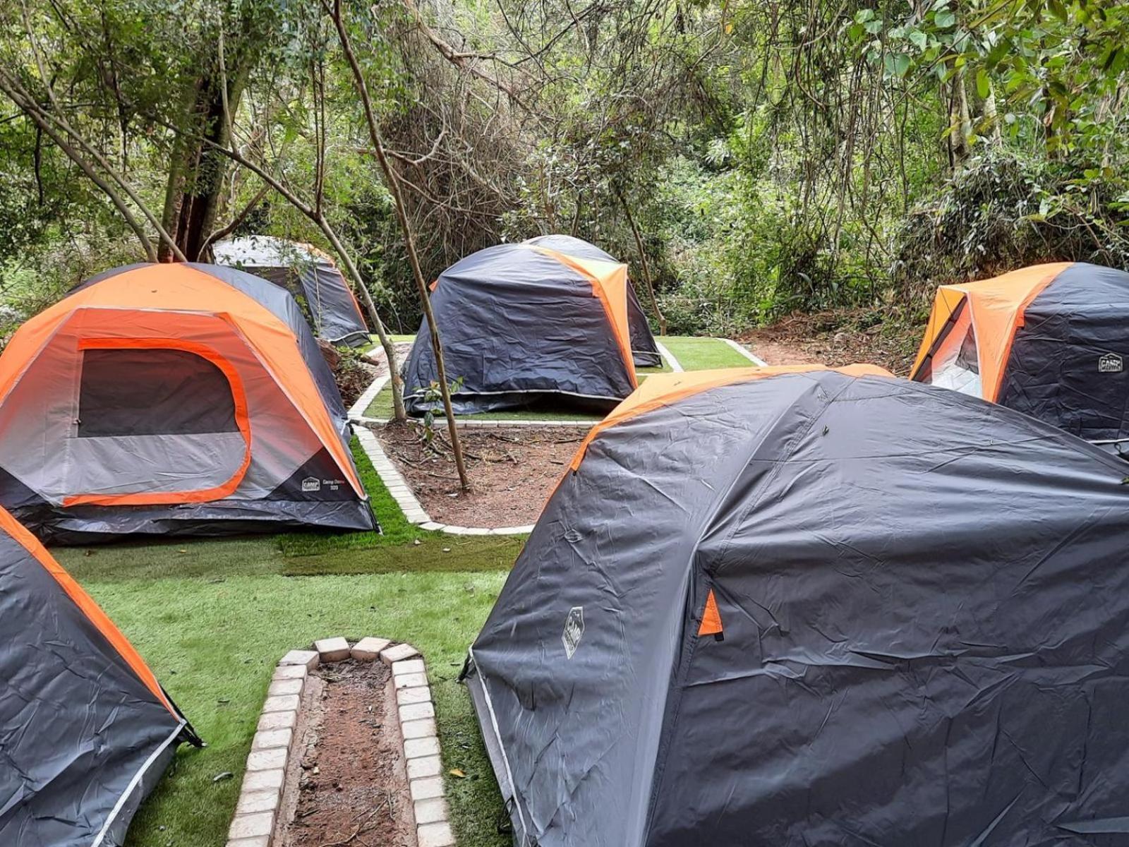 Standard Tent - Photo 1