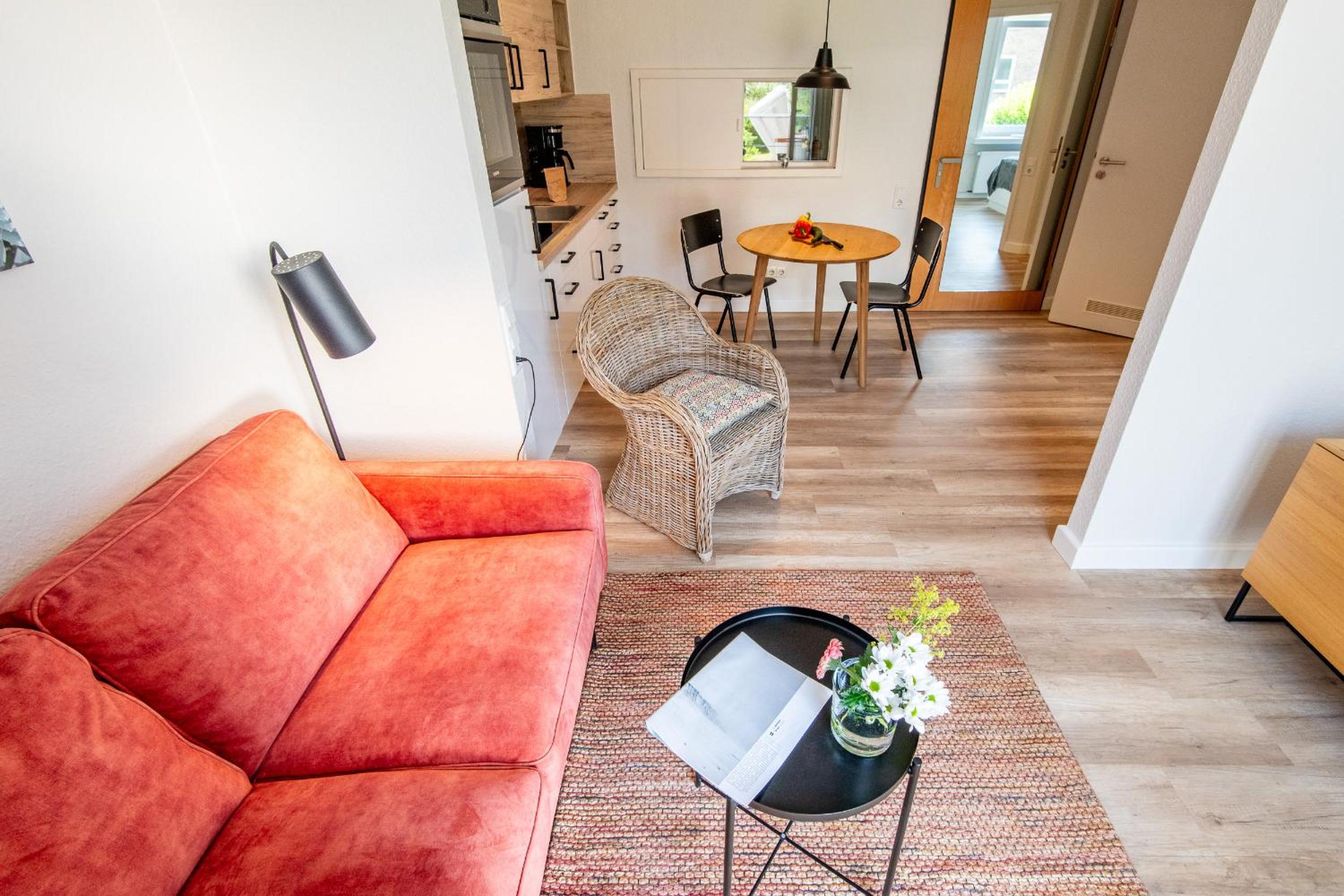 Apartment with Terrace photo 1