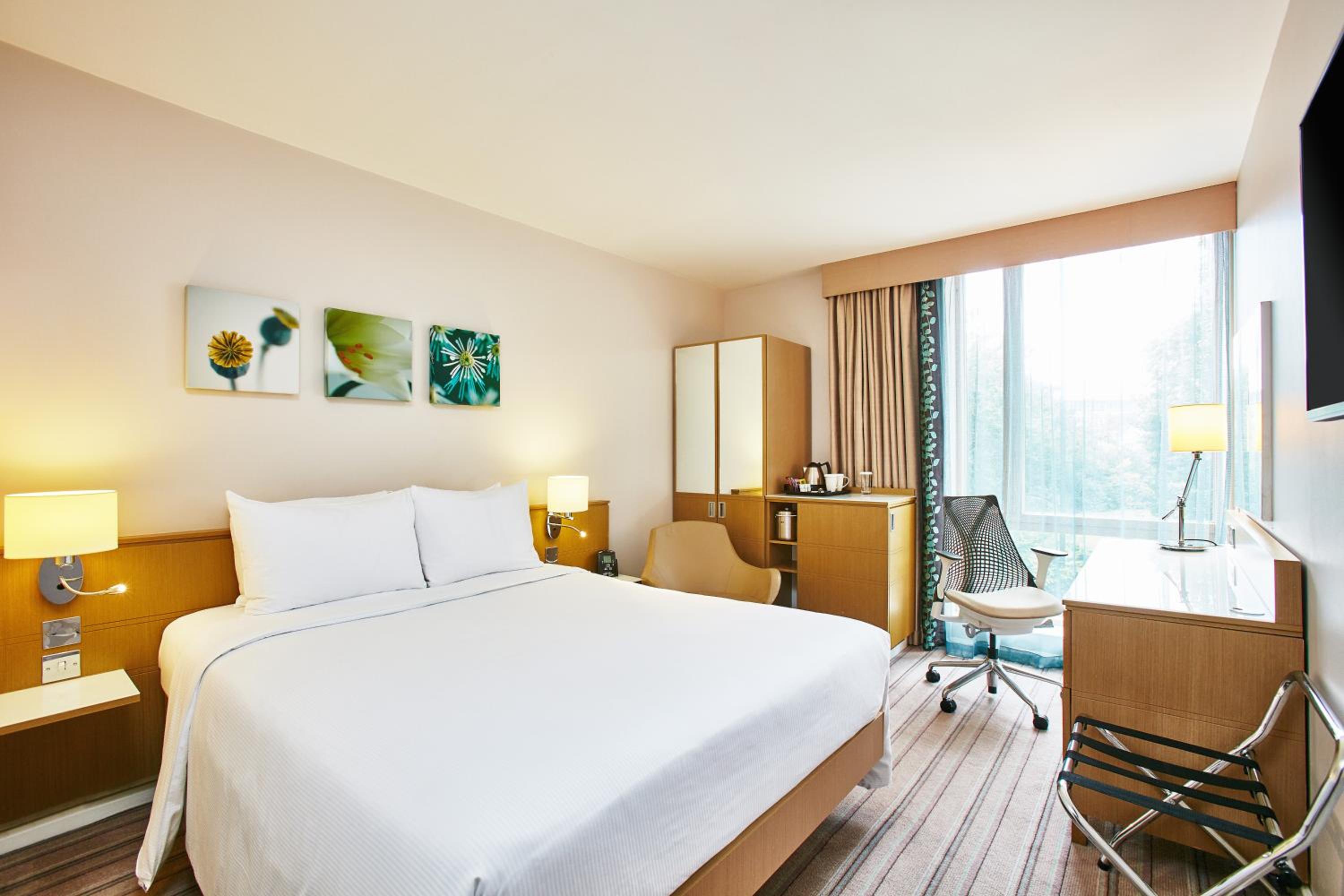 Queen Room with Park View photo 1