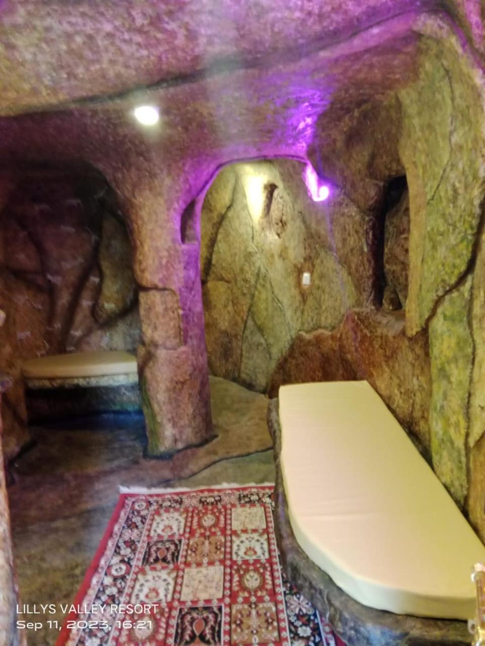Queen Suite photo 2