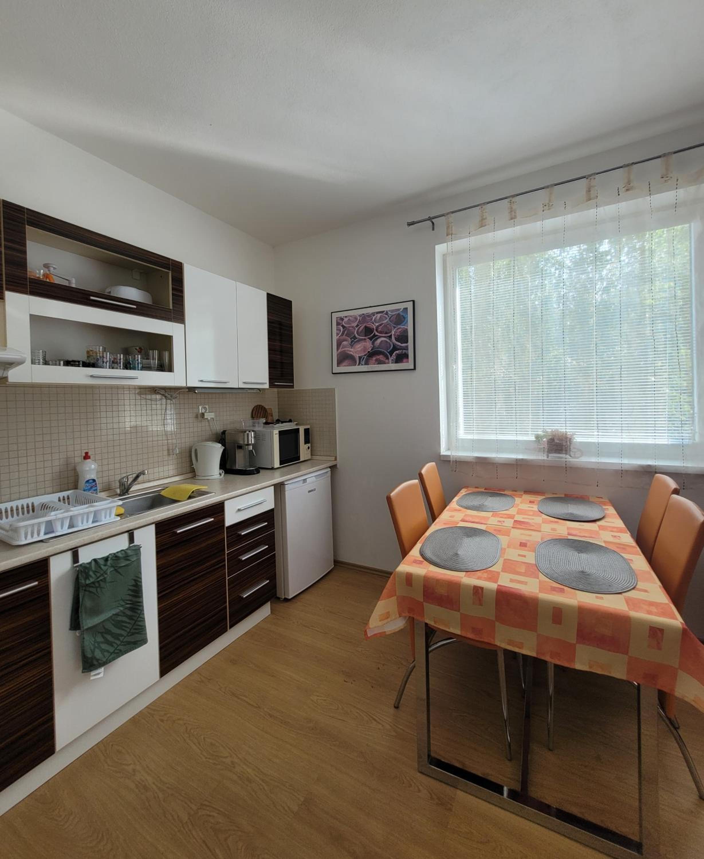 One-Bedroom Apartment photo 3