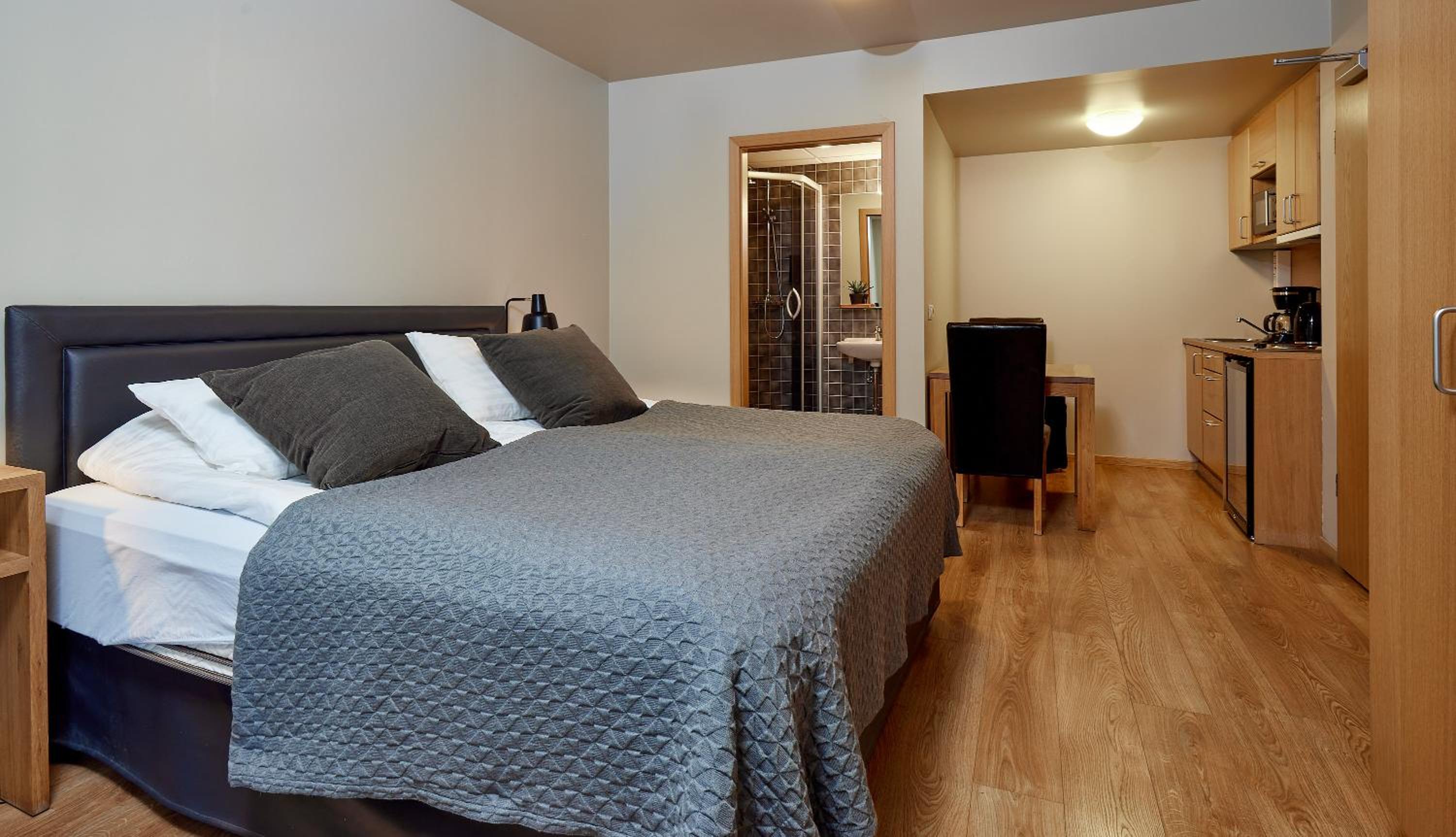 Studio Apartment photo 2