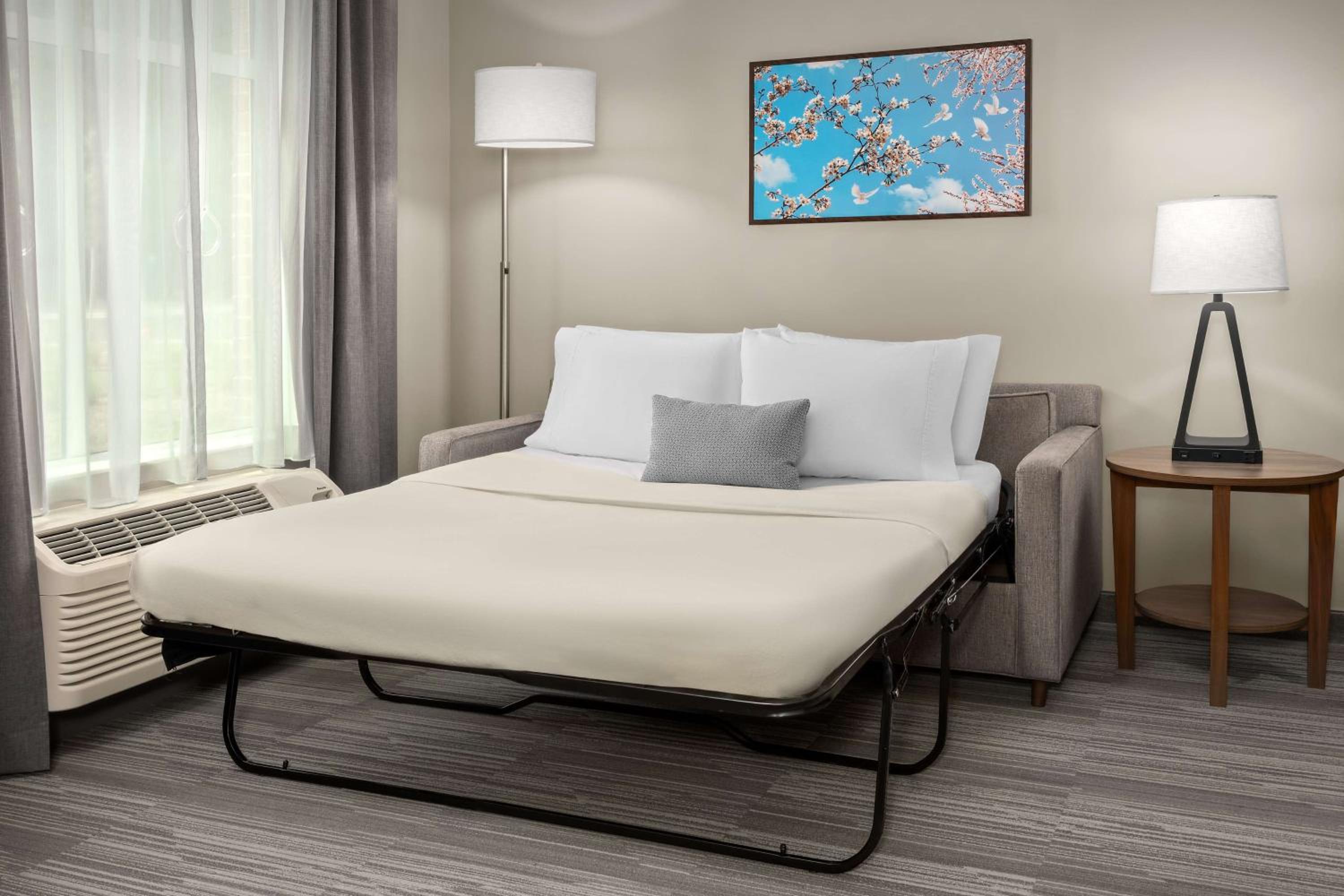 King Studio Suite - Photo 3