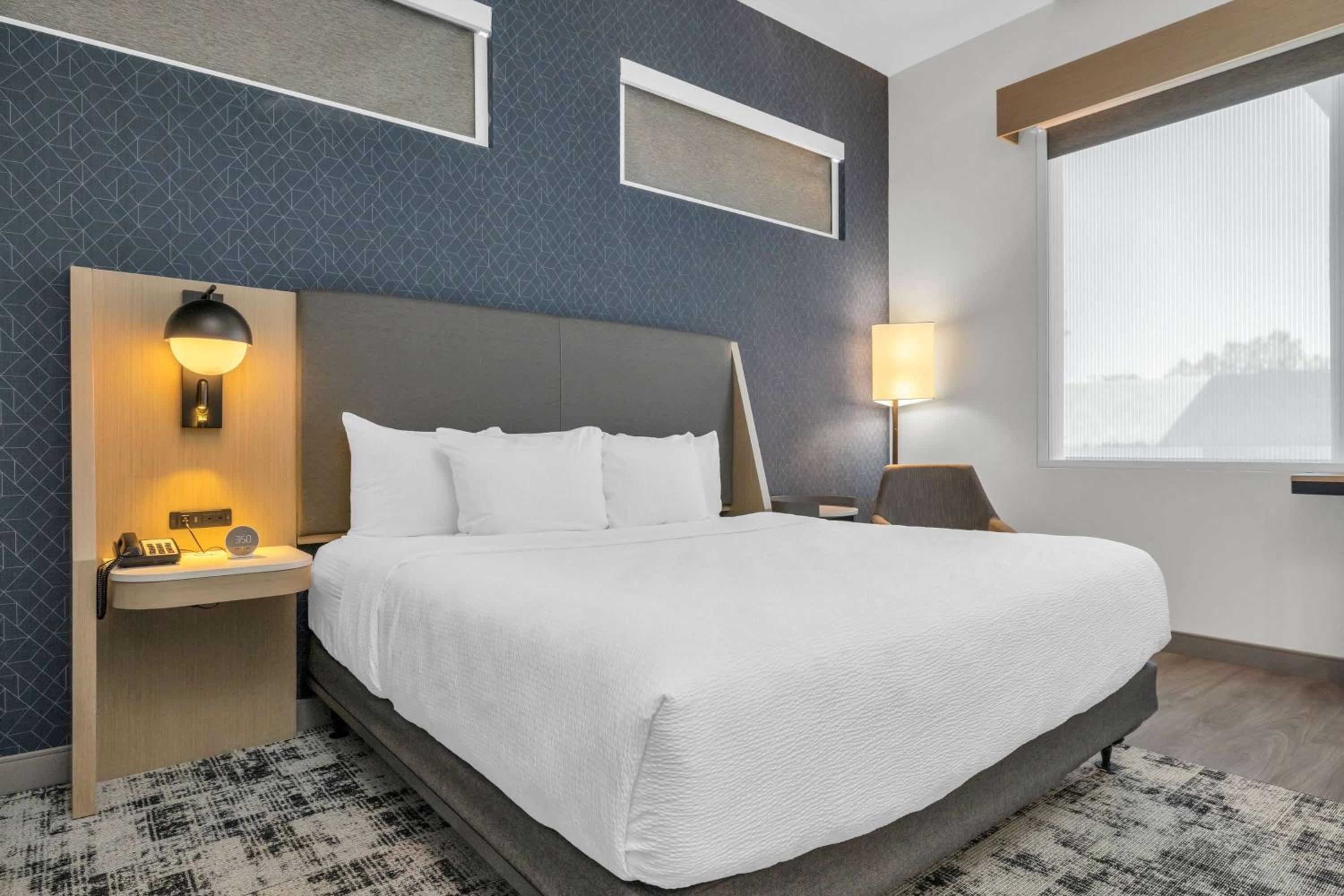 King Room with Mobility Access and Bathtub with Grab Bars, Non-Smoking - Photo 1