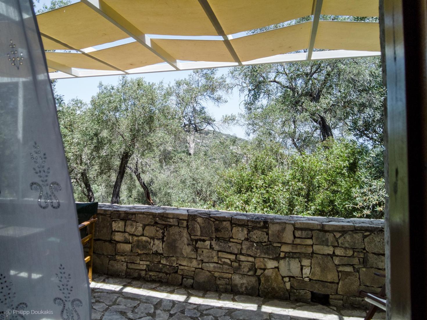 Studio with Terrace photo 3