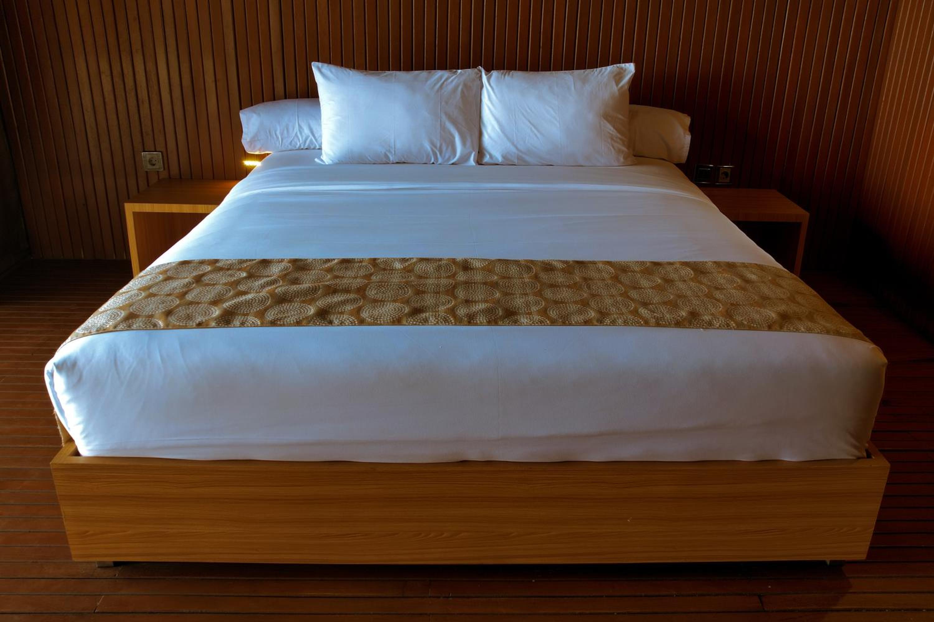 Suite - Photo 1