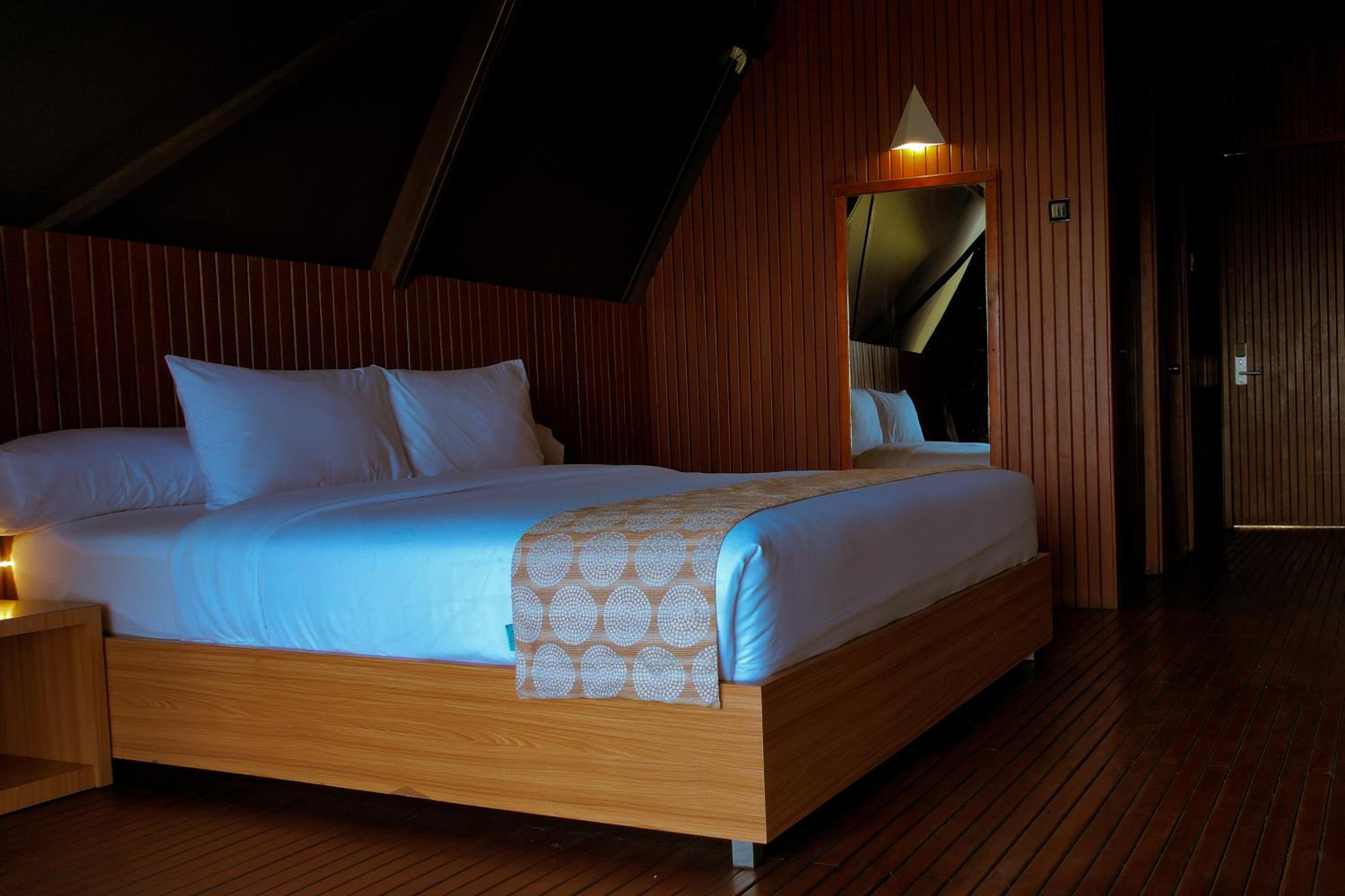 Suite - Photo 4