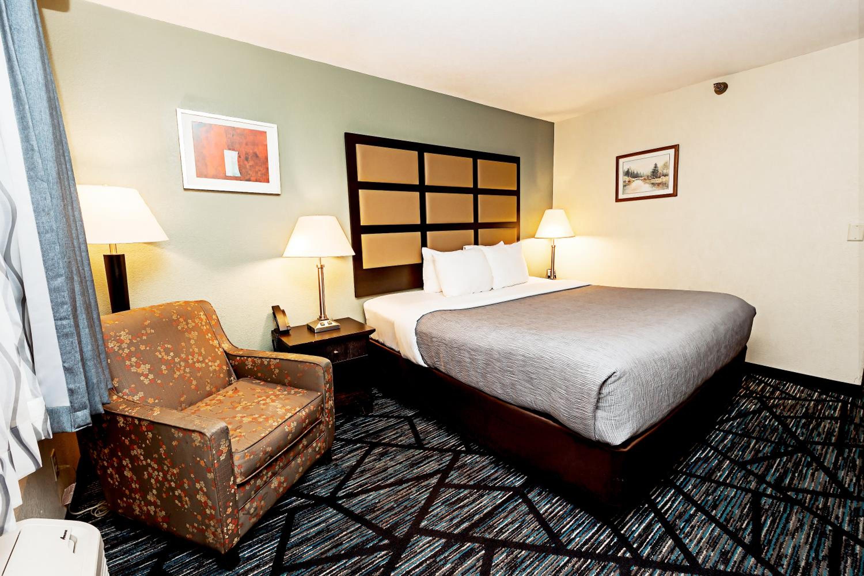 King Suite with Forest View - Non-Smoking