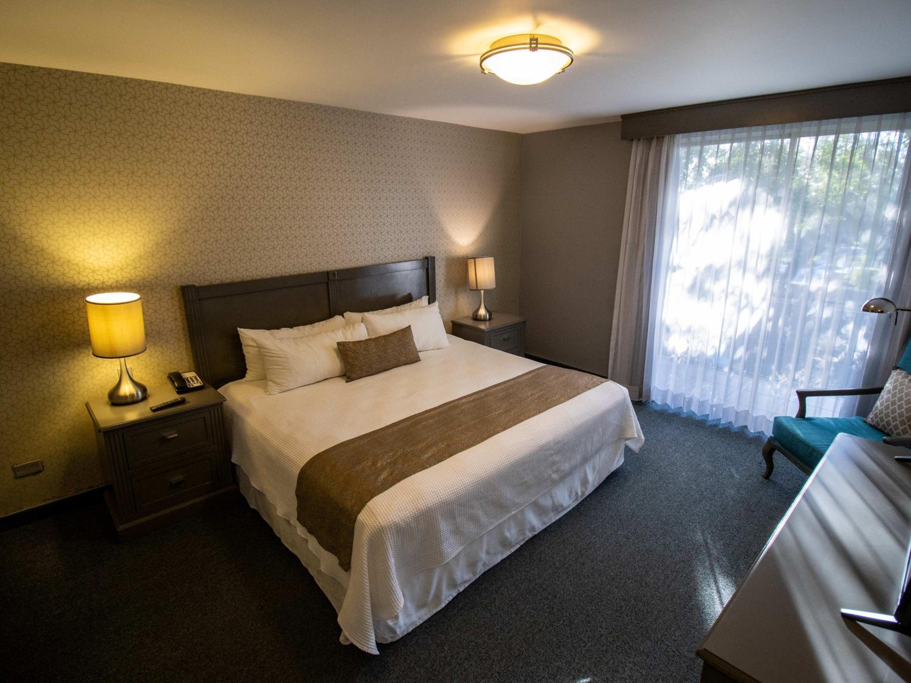 Suite - Photo 1