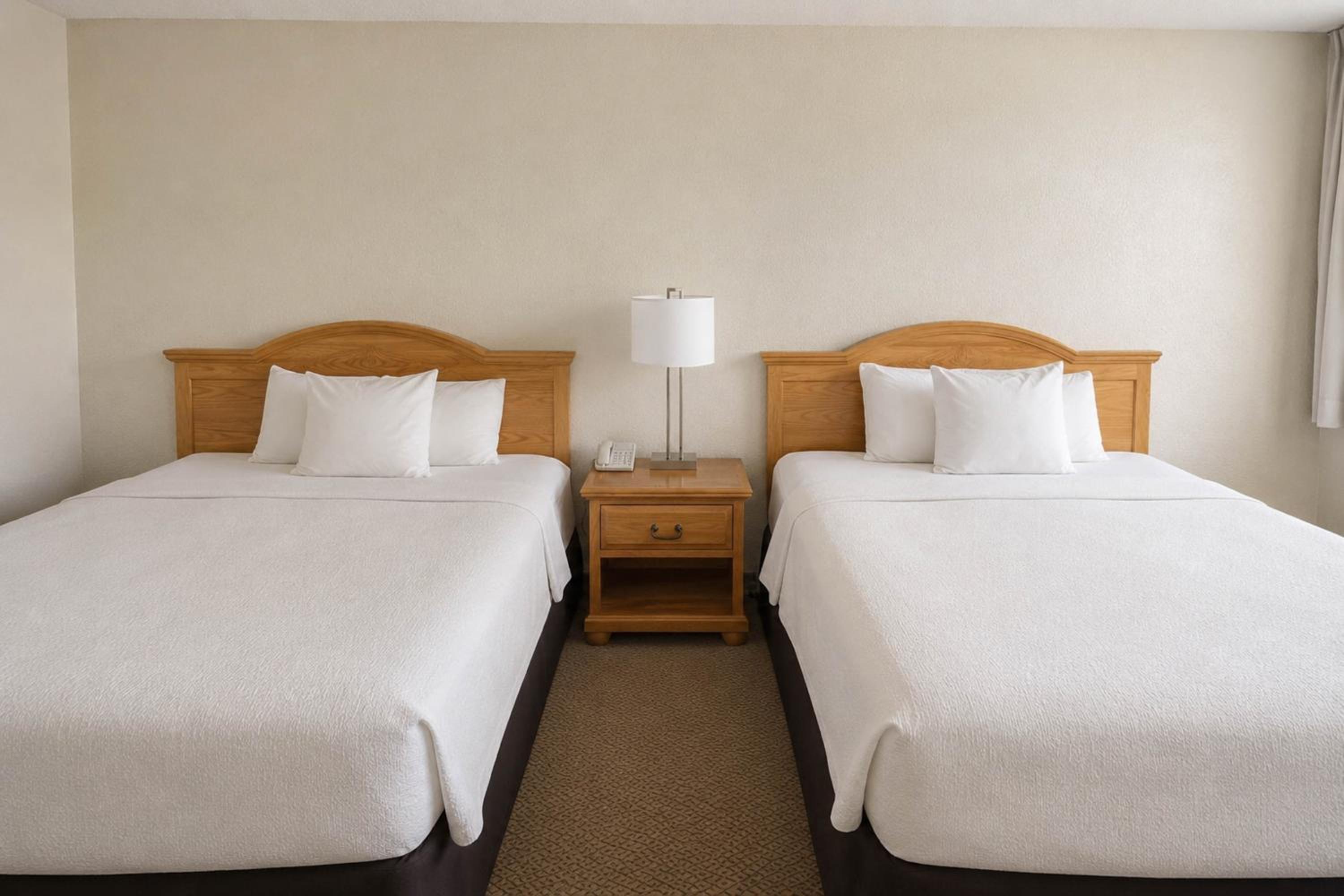 Deluxe Queen Suite