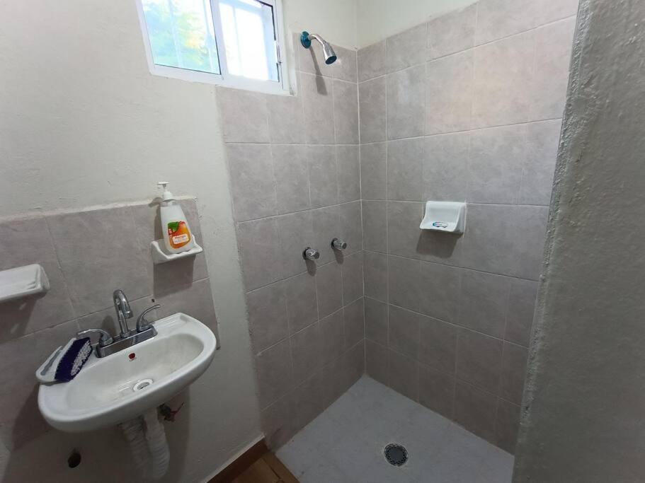Two-Bedroom House photo 3