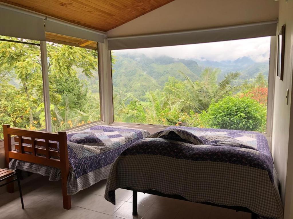 Family Room with Mountain View photo 2