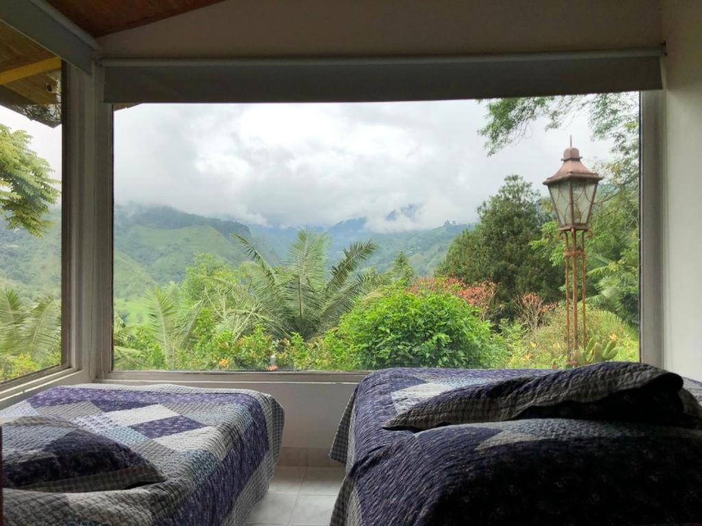 Family Room with Mountain View photo 3