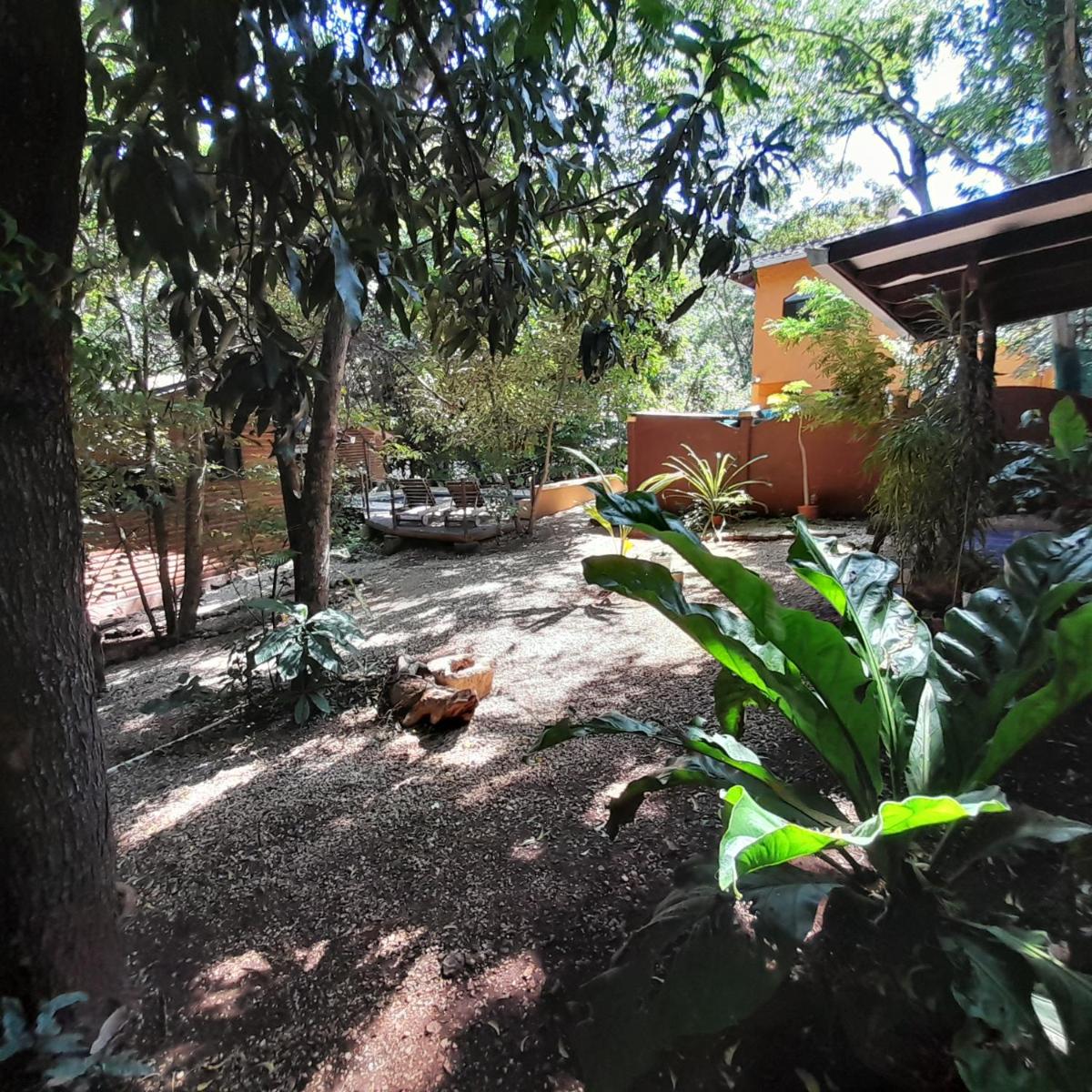 One-Bedroom Villa photo 2