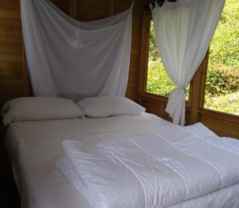 One-Bedroom Chalet photo 1