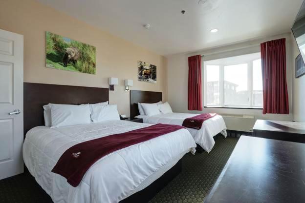 Deluxe Queen Suite - Photo 1