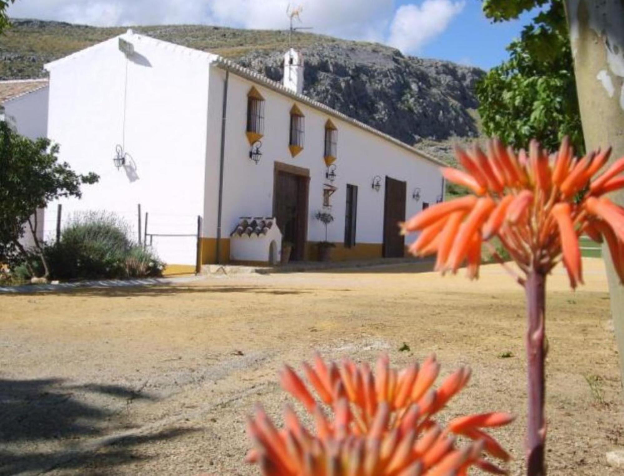 Villa With Garden View photo 3
