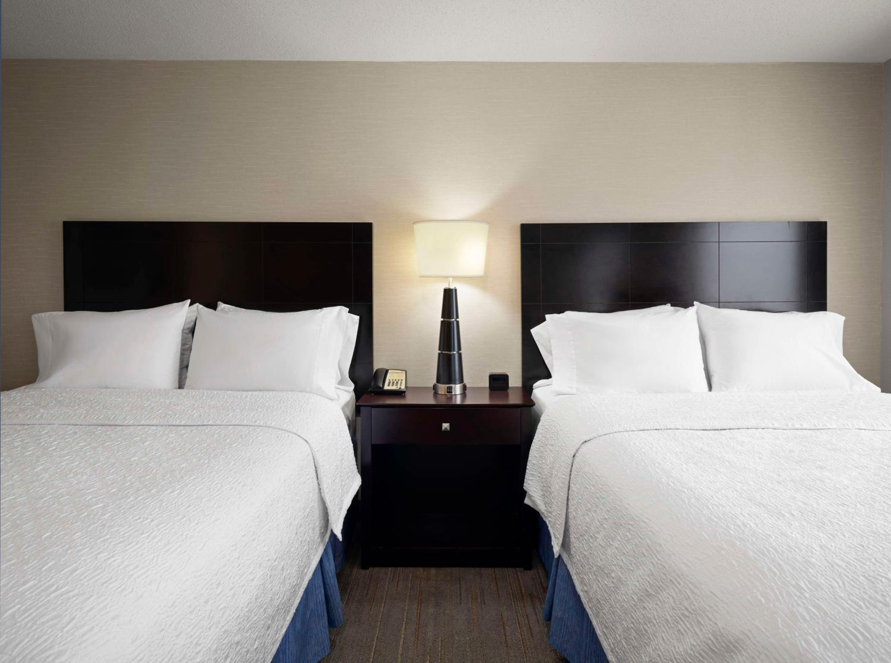 Queen Studio Suite with Two Queen Beds and Sofa Bed - Non-Smoking - Photo 3