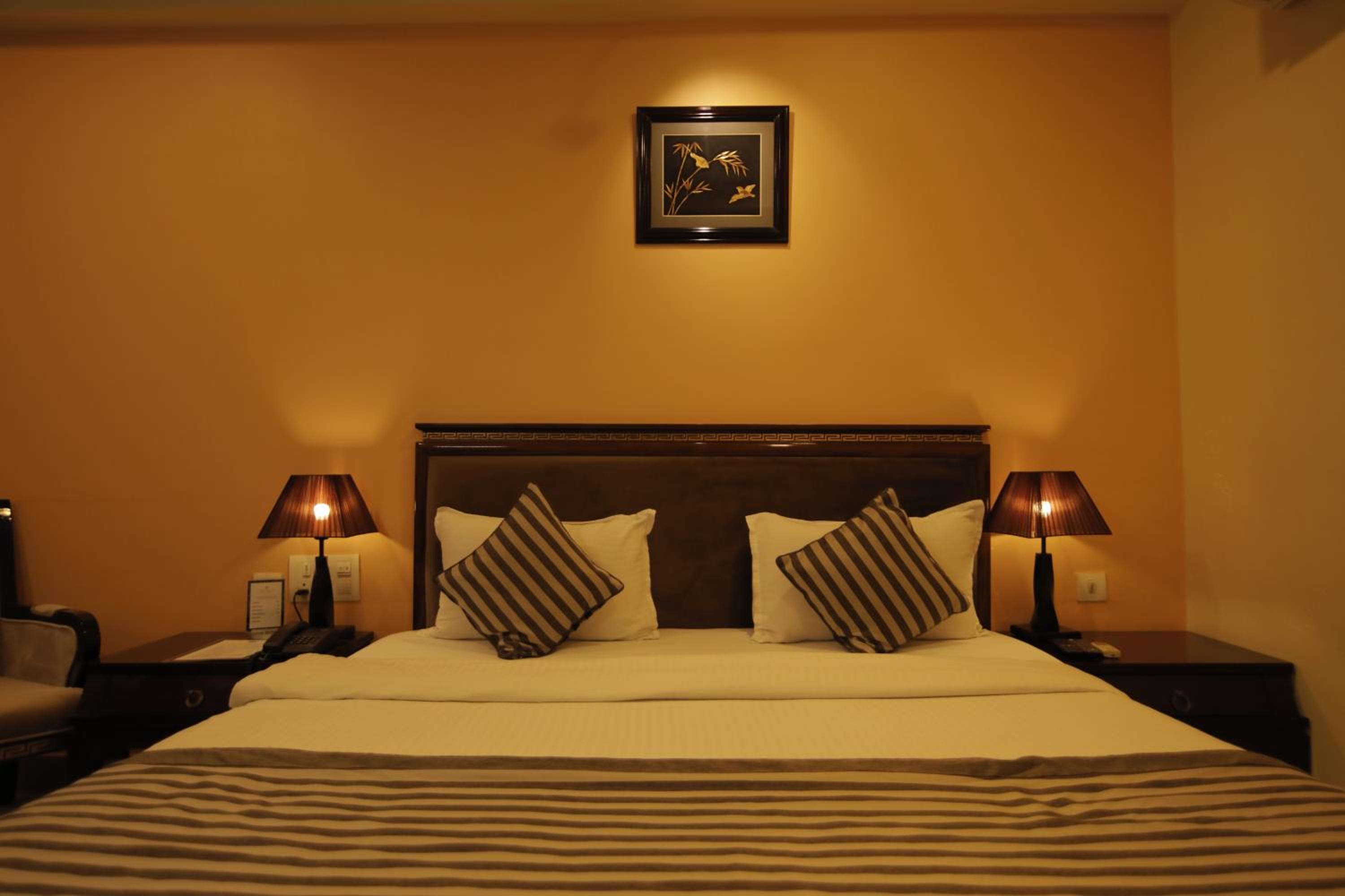 Elegant Room - Photo 1