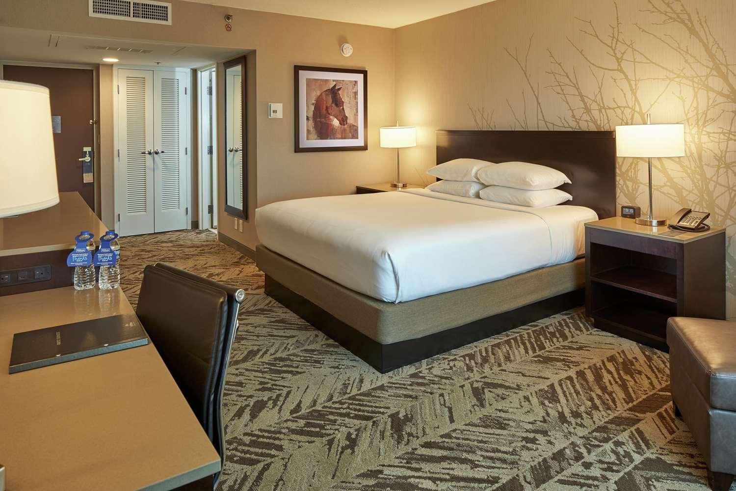 King Room - Photo 1