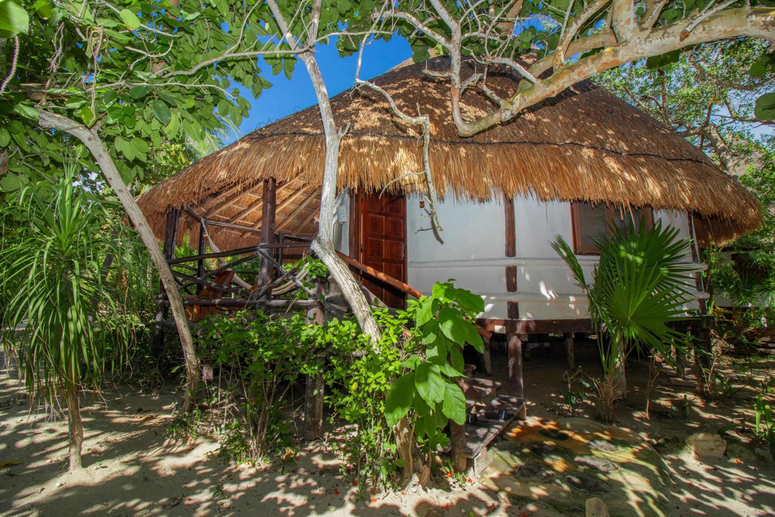 Junior Bungalow With Garden View