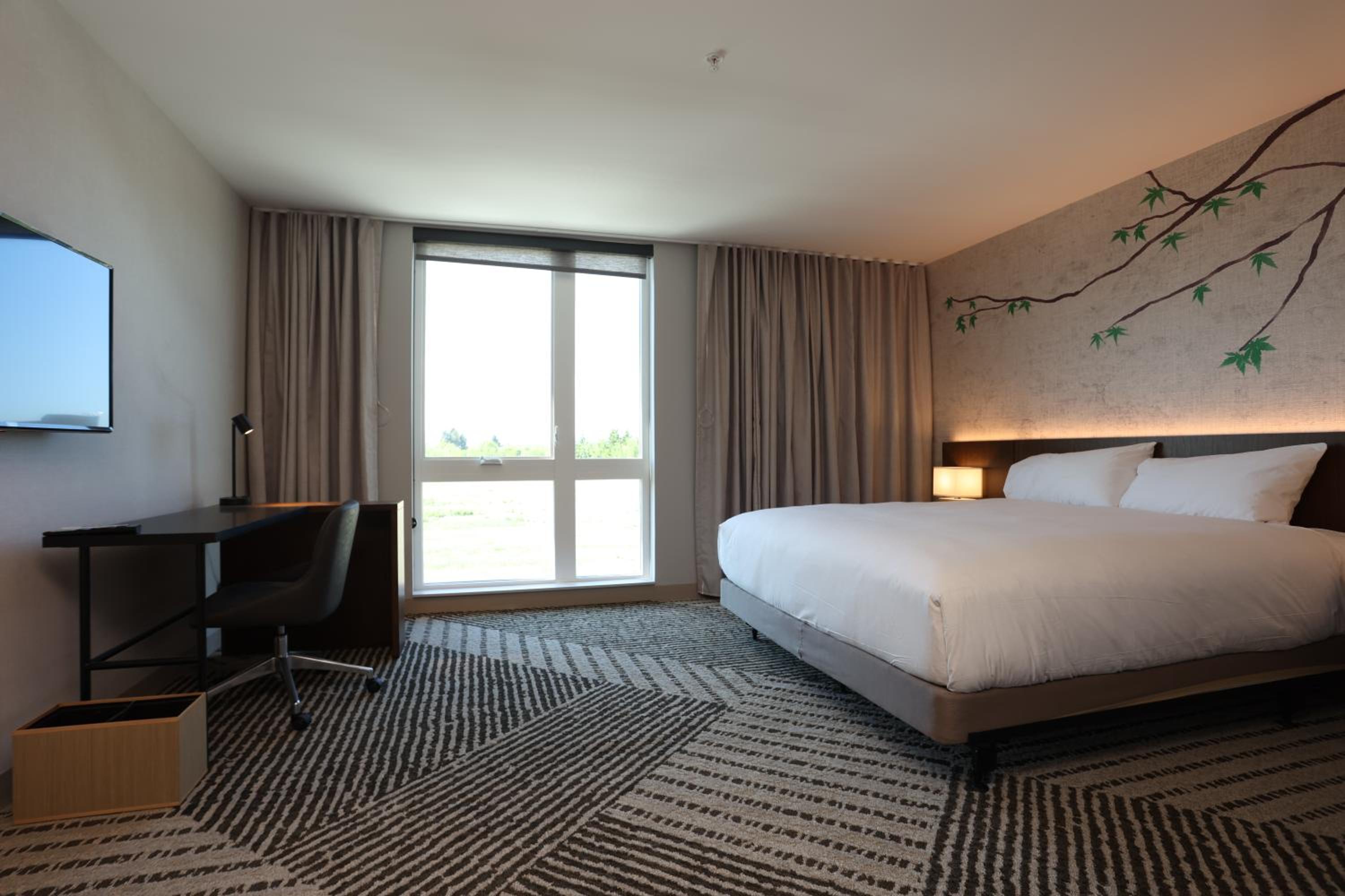 Standard King Room - Accessible - Photo 2