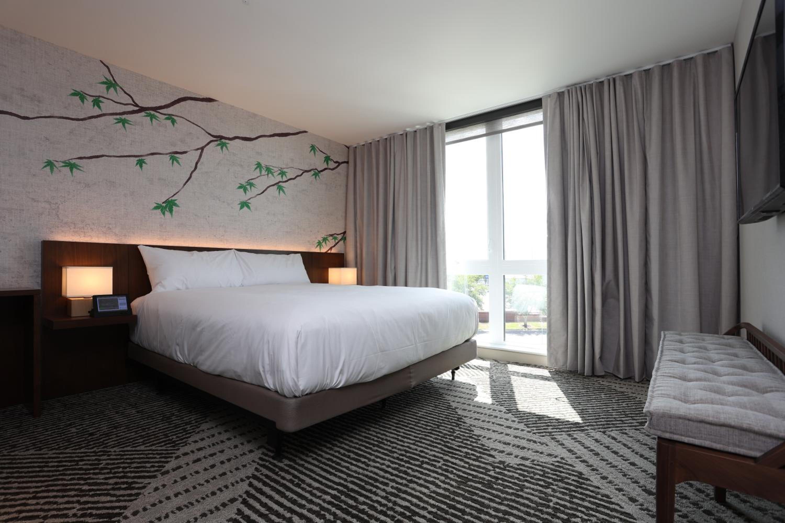 Suite - Photo 4